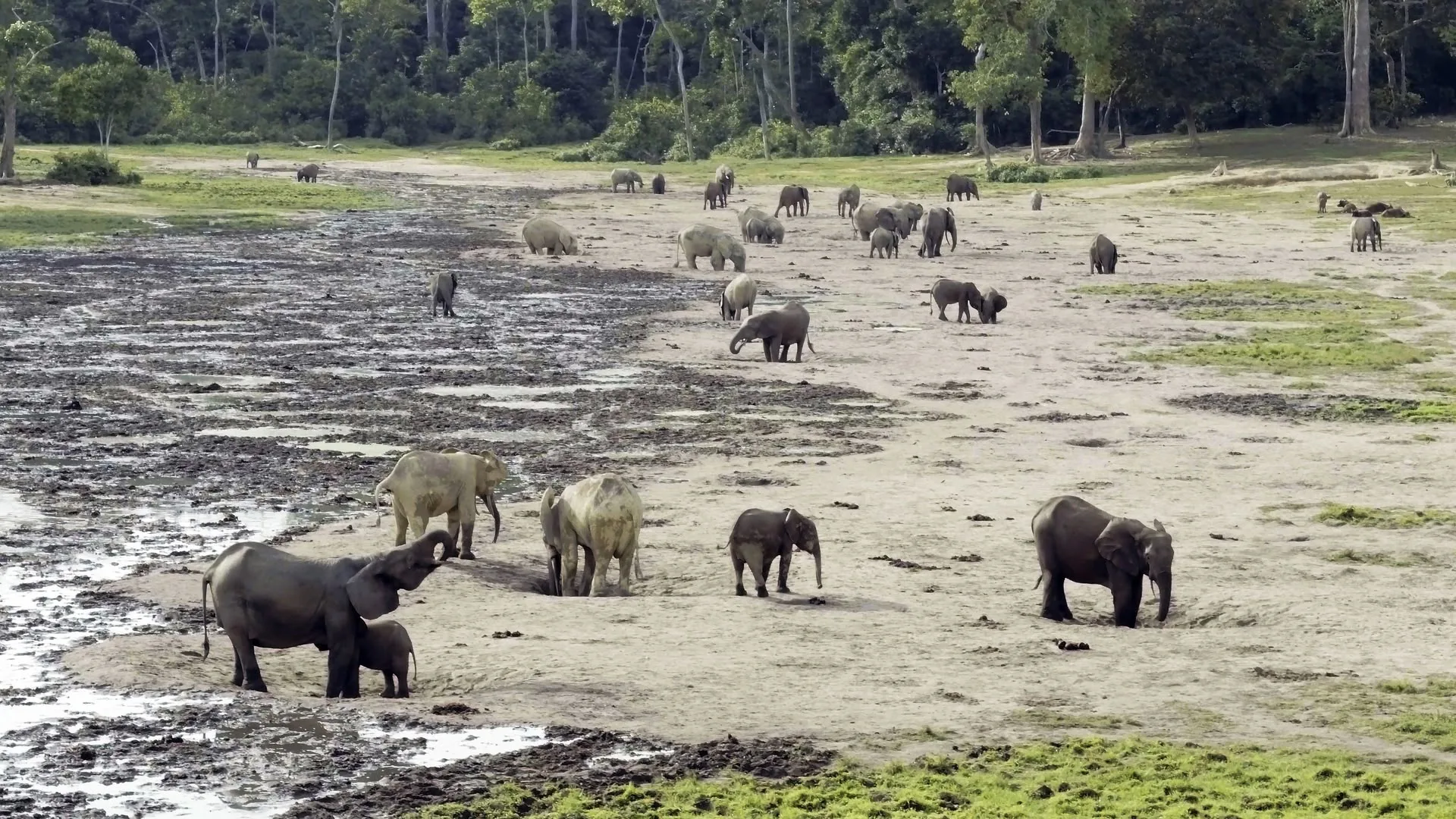Viaggio sul pianeta Terra stagione 1