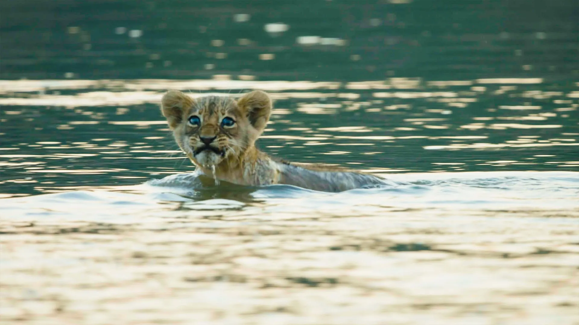Cacciatori africani stagione 3