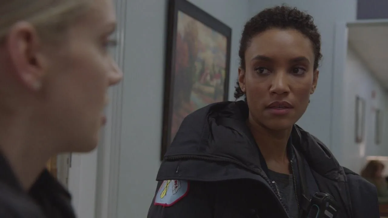 Chicago Fire stagione 7