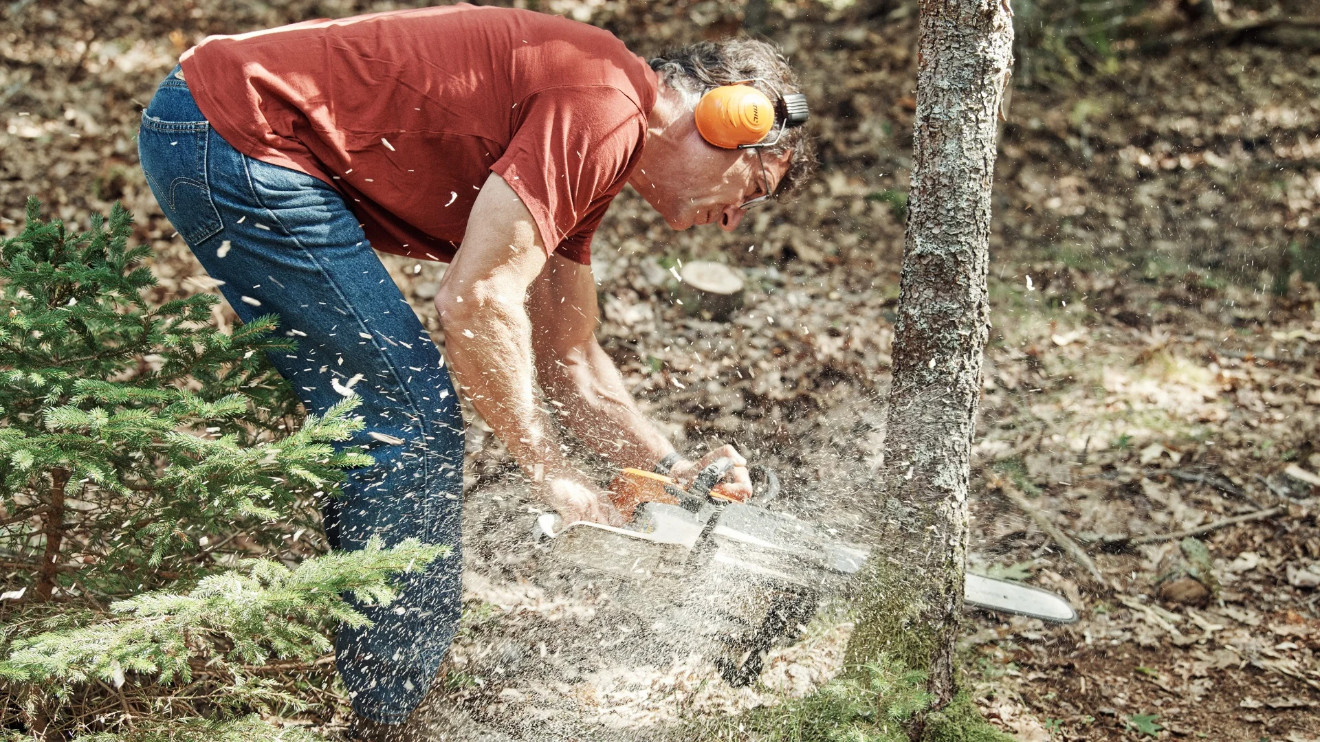 Oak Island e il tesoro maledetto stagione 5