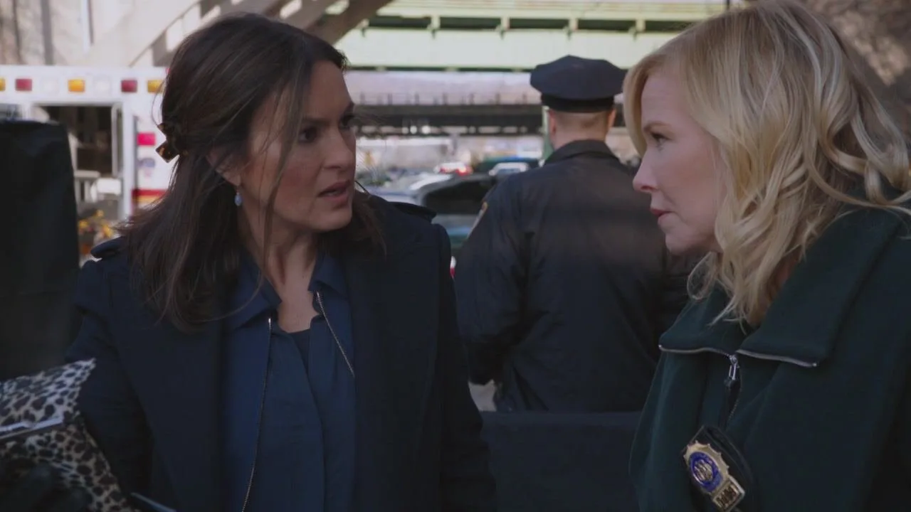Law & Order: Special Victims Unit stagione 17