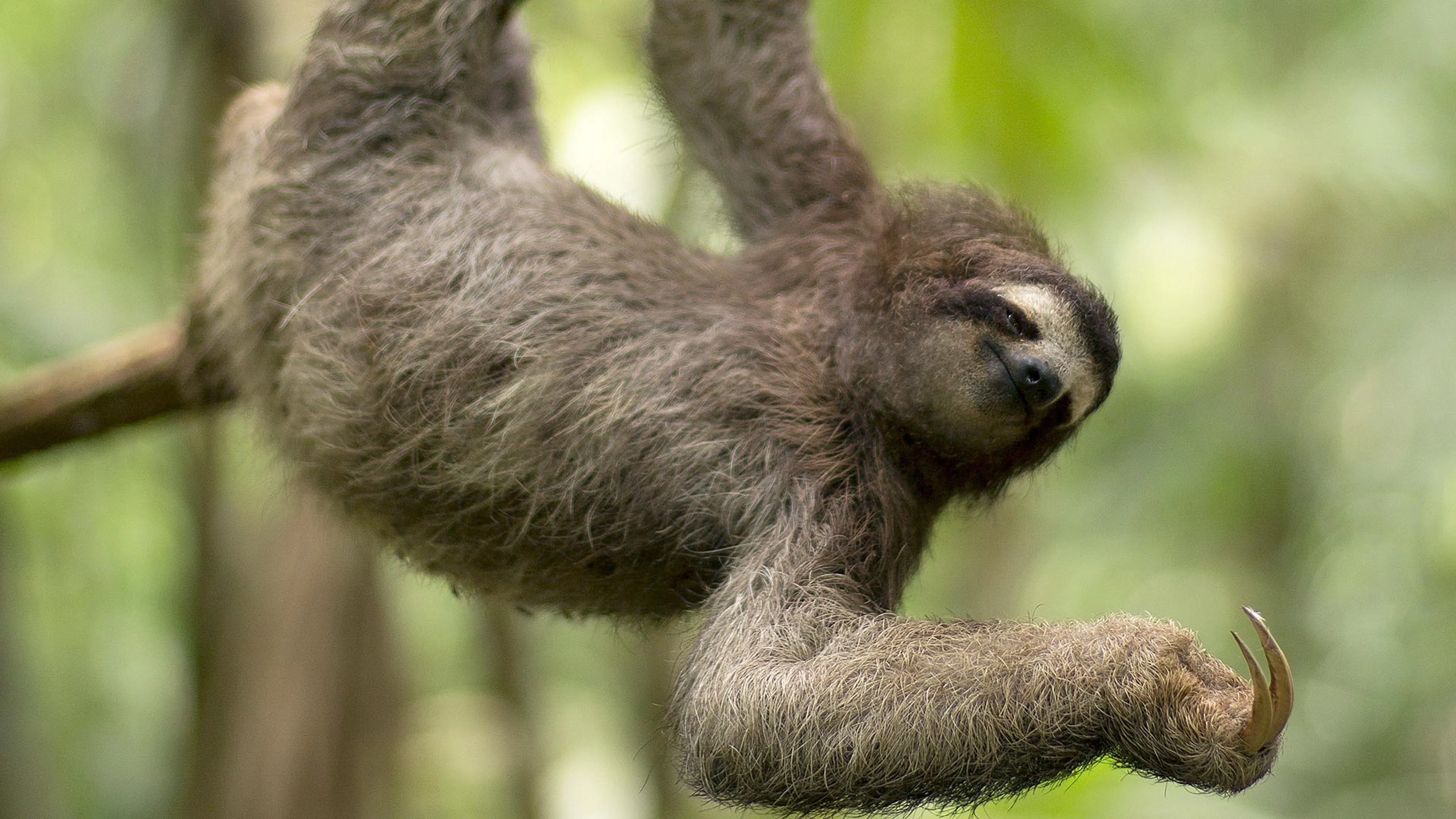 Natural Born Rebels: Ribelli per natura stagione 1