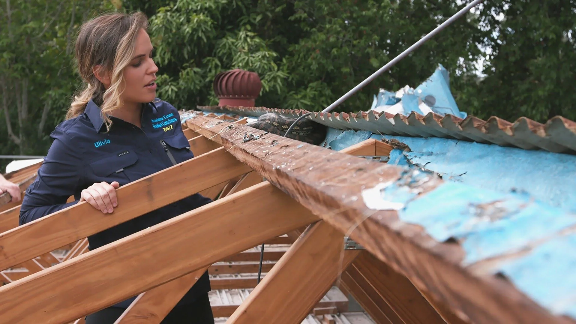 Australia: A caccia di serpenti stagione 1