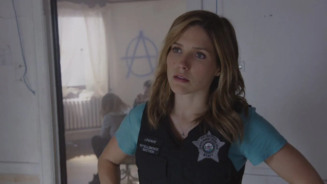 Chicago P.D. stagione 2