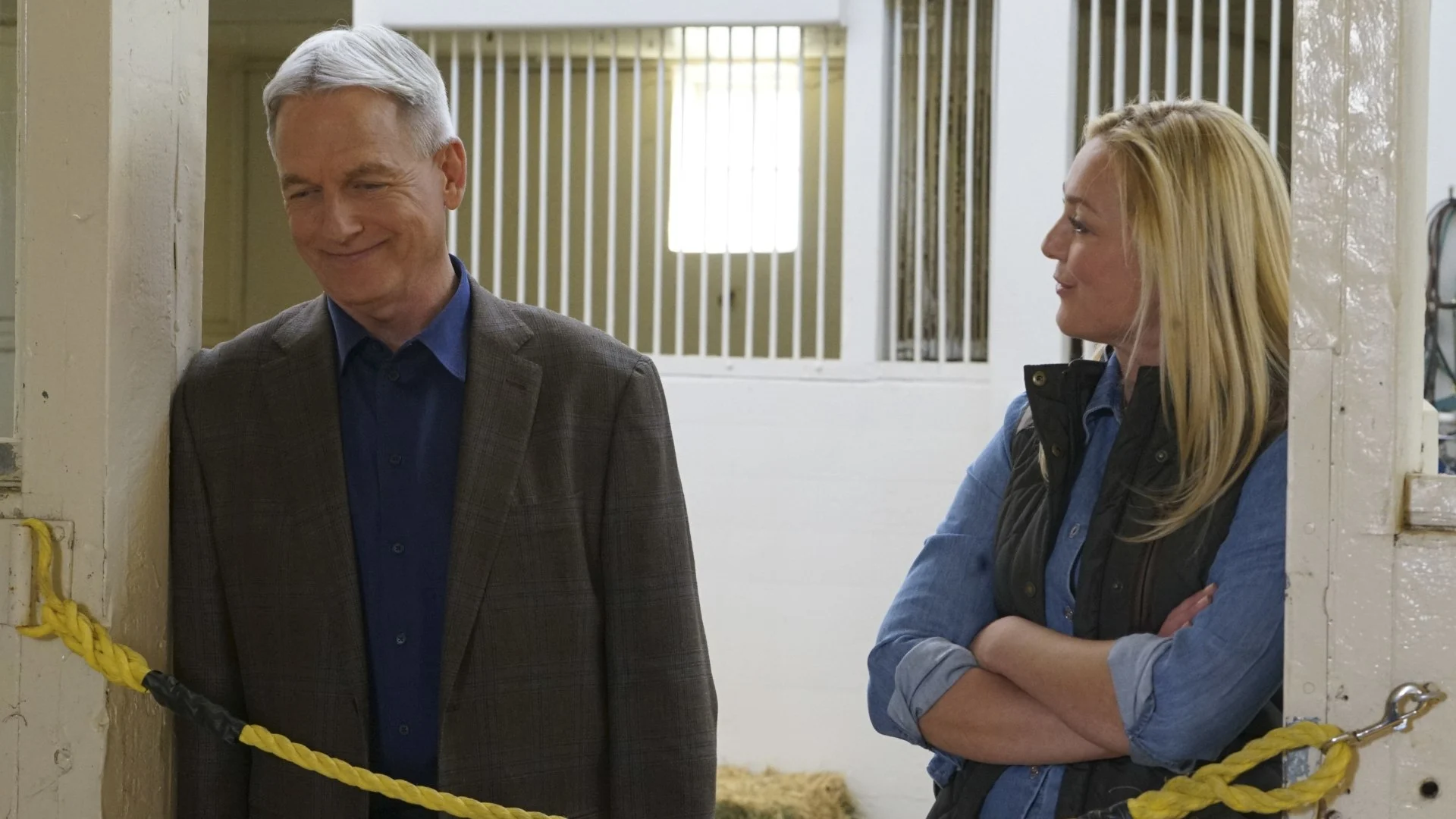 NCIS stagione 14