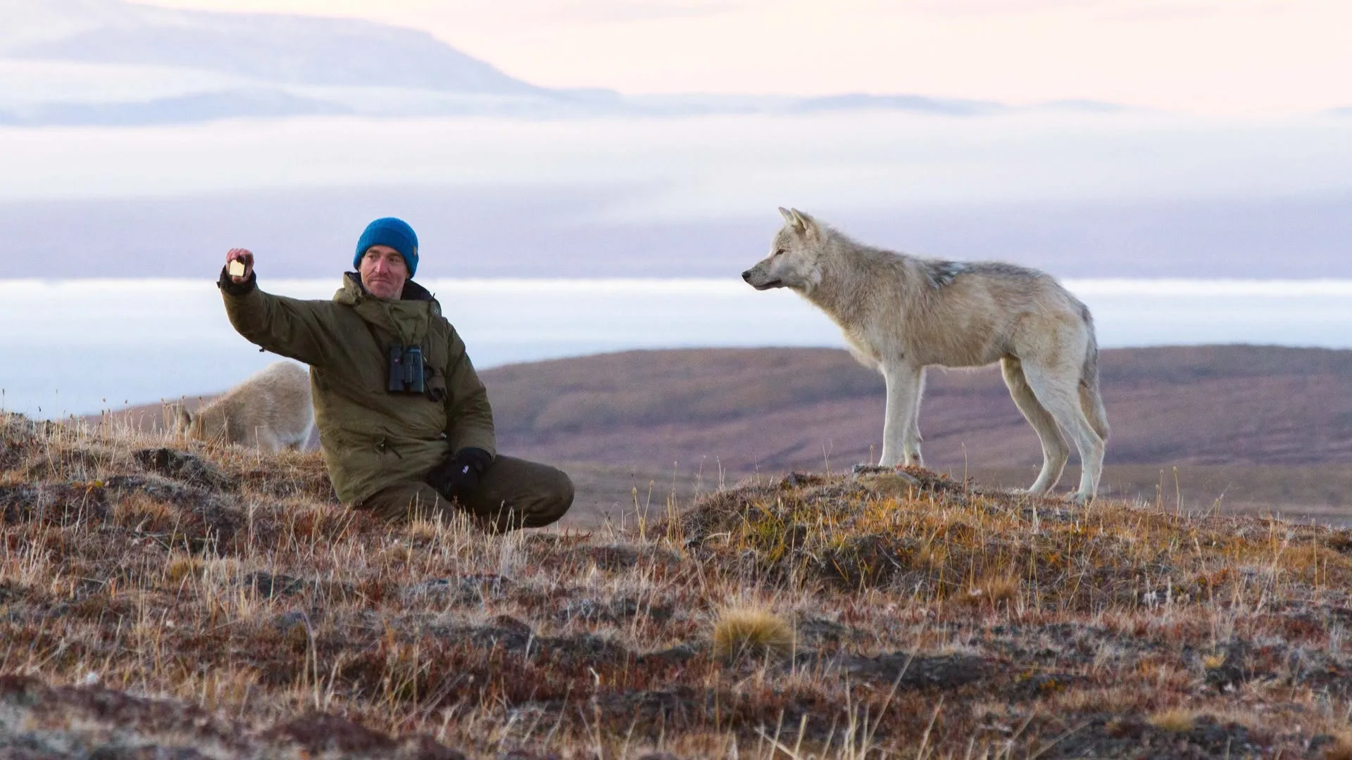 Io e i lupi delle nevi stagione 1