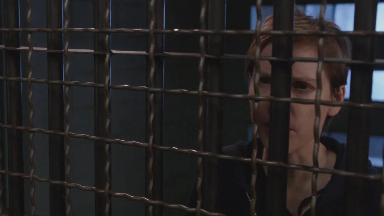 Law & Order: Special Victims Unit stagione 17