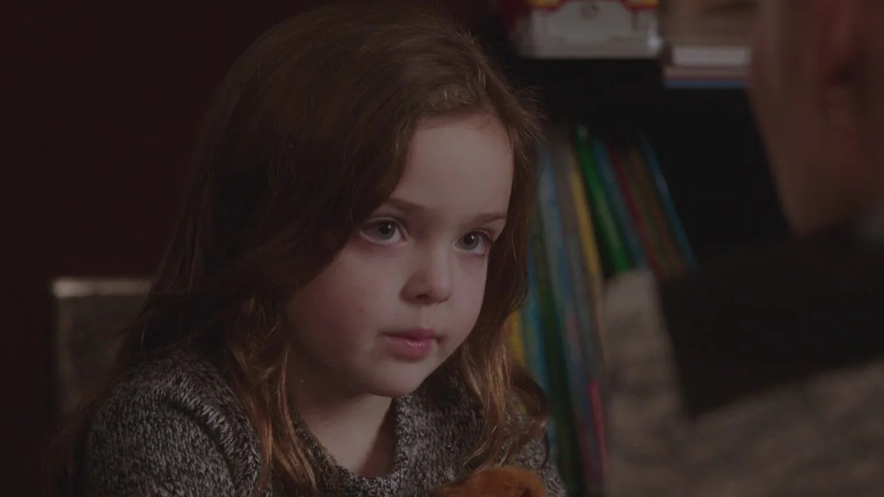 Law & Order: Special Victims Unit stagione 17