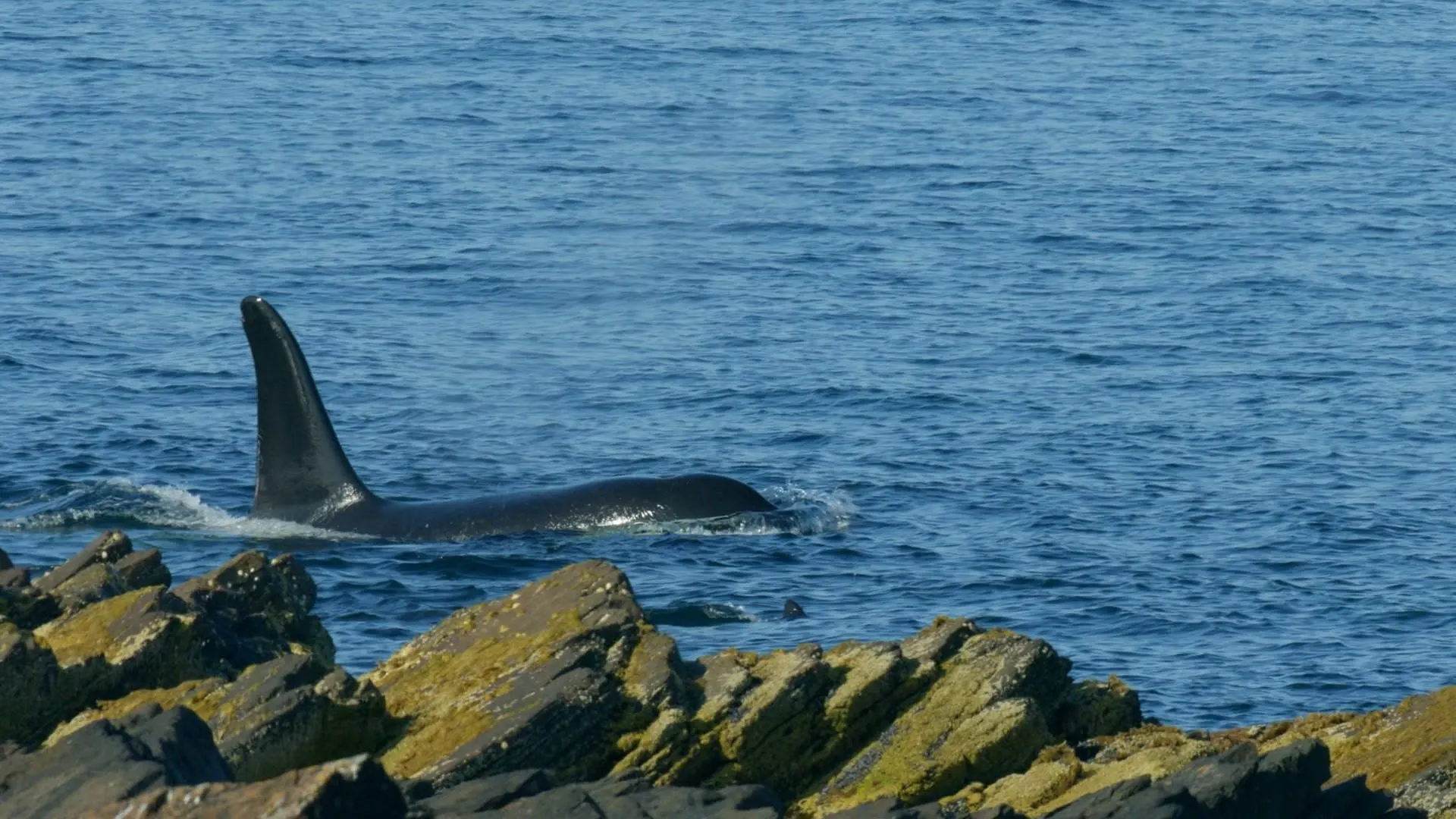 I segreti delle acque incantate stagione 1