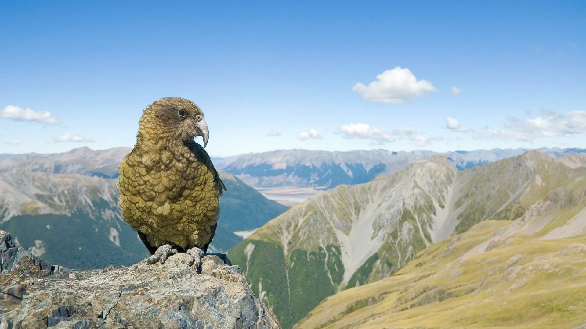 Gli Einstein della natura stagione 1