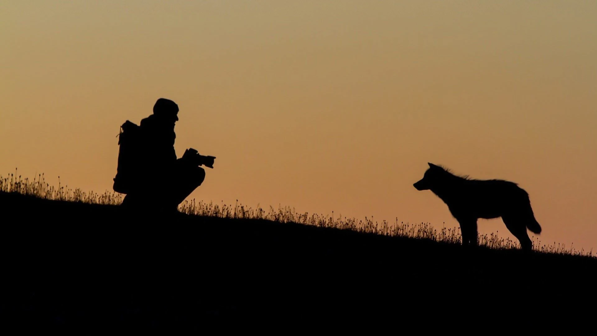 Io e i lupi delle nevi stagione 1