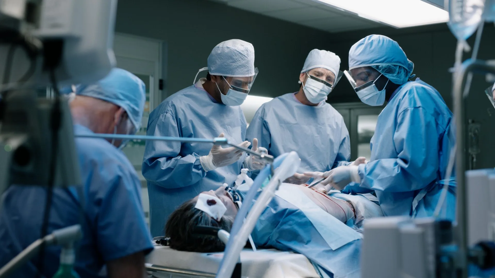 Transplant stagione 2