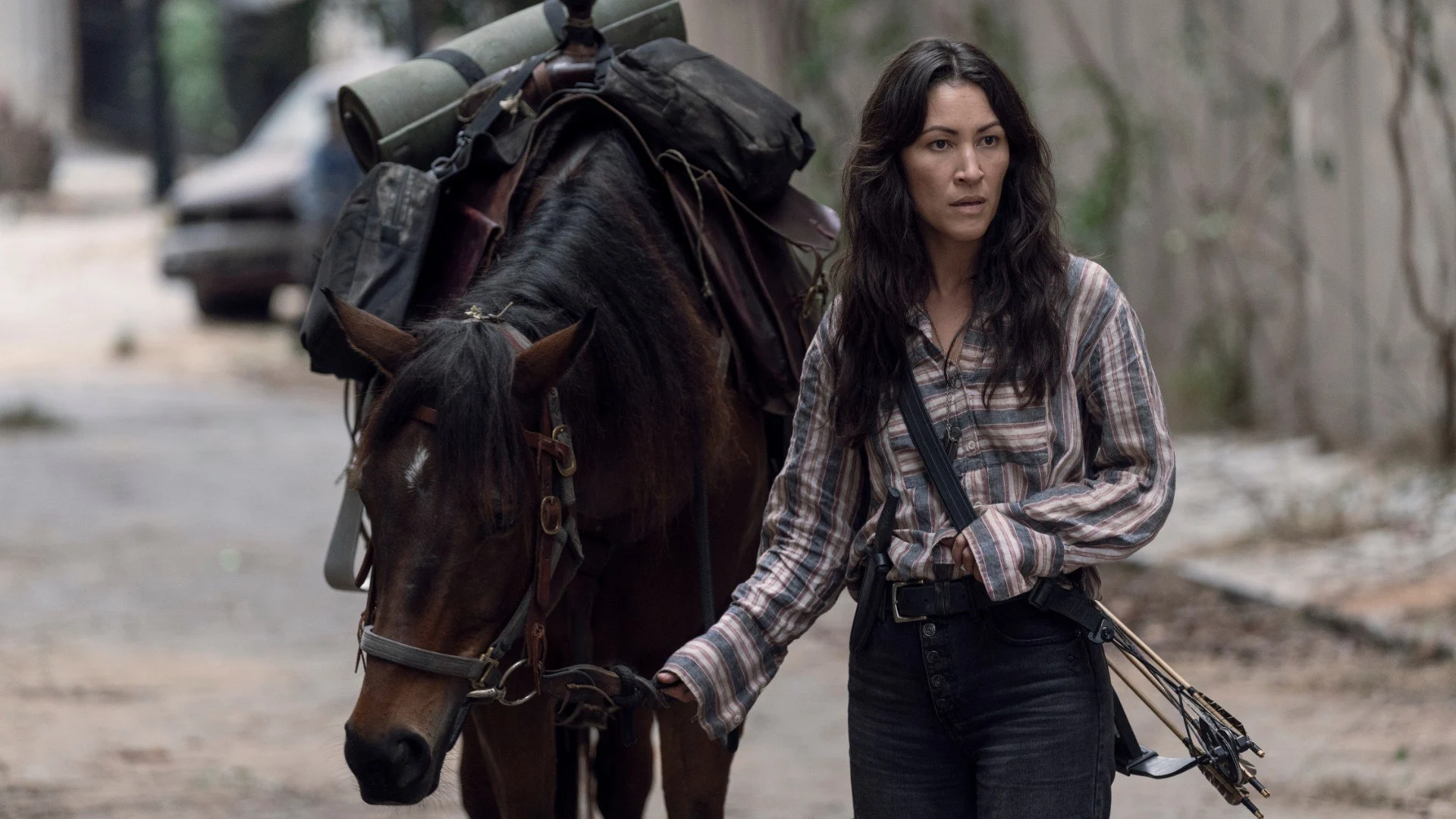 The Walking Dead stagione 10