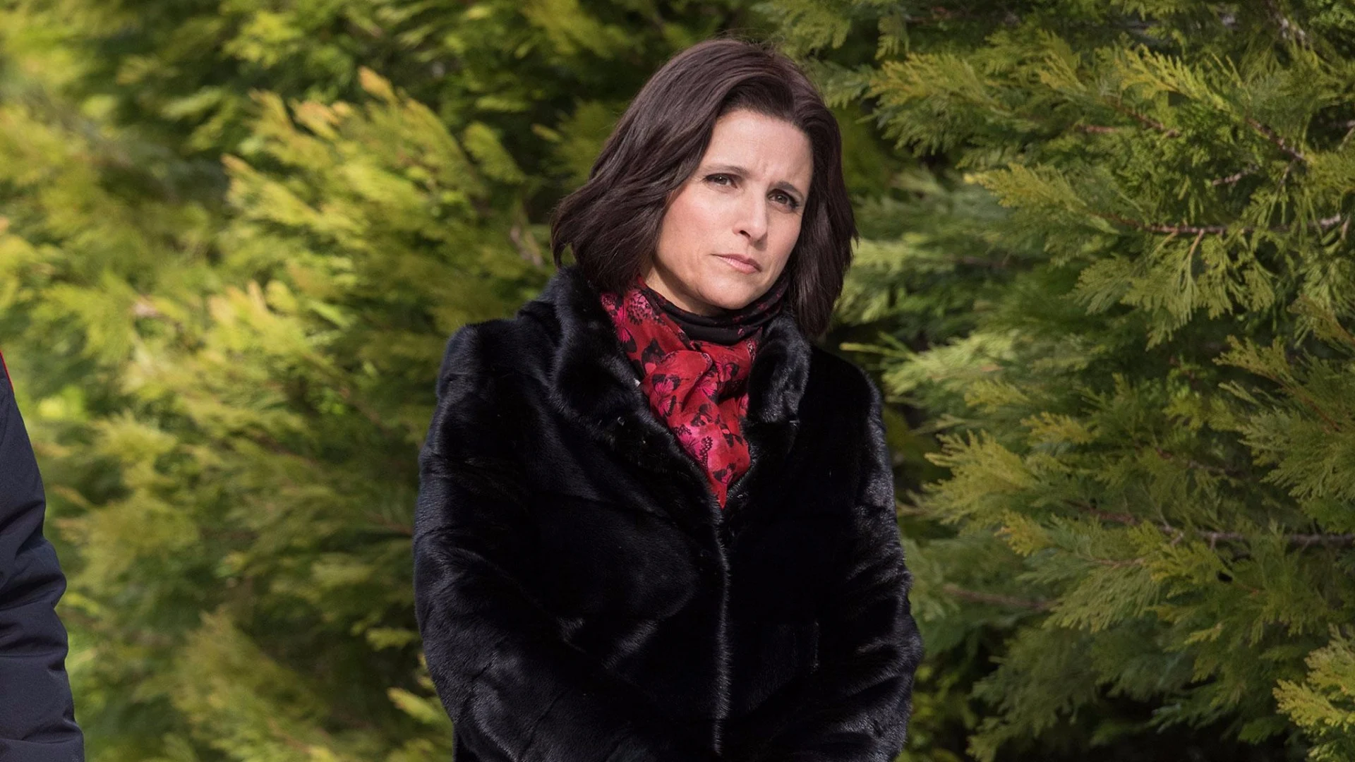 Veep - Vicepresidente incompetente stagione 5