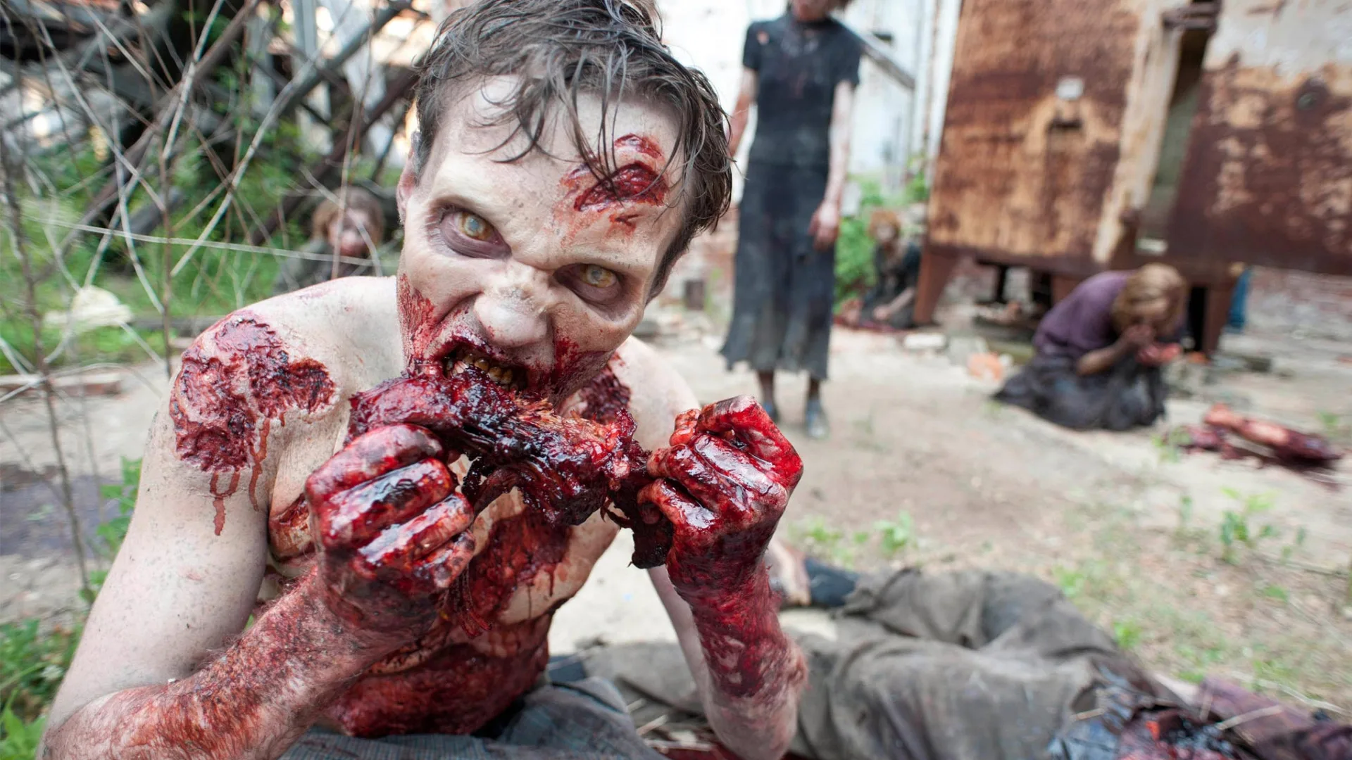 The Walking Dead stagione 2