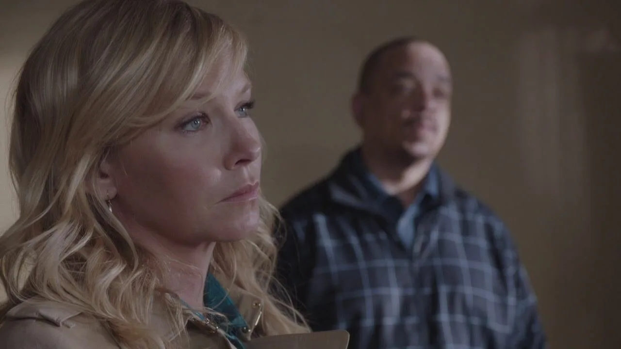 Law & Order: Special Victims Unit stagione 17