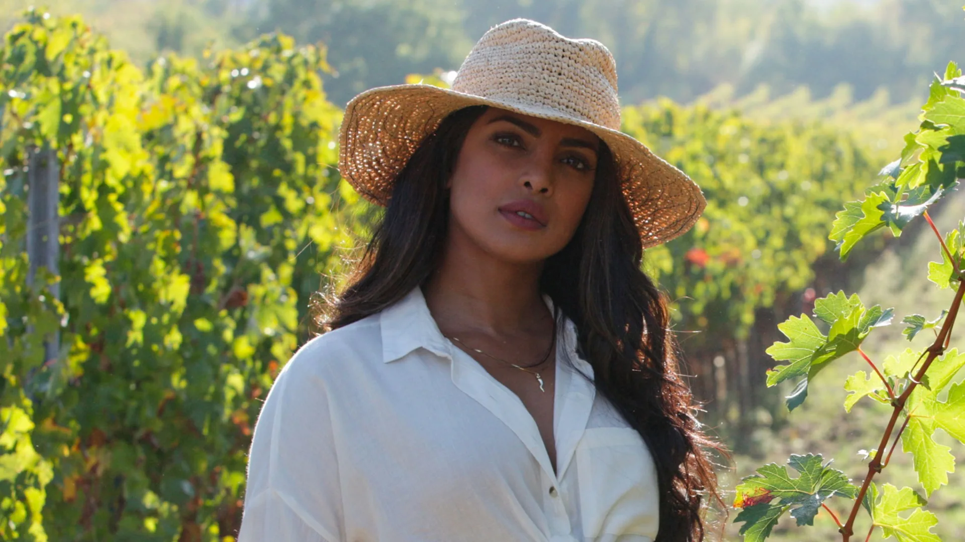 Quantico stagione 3