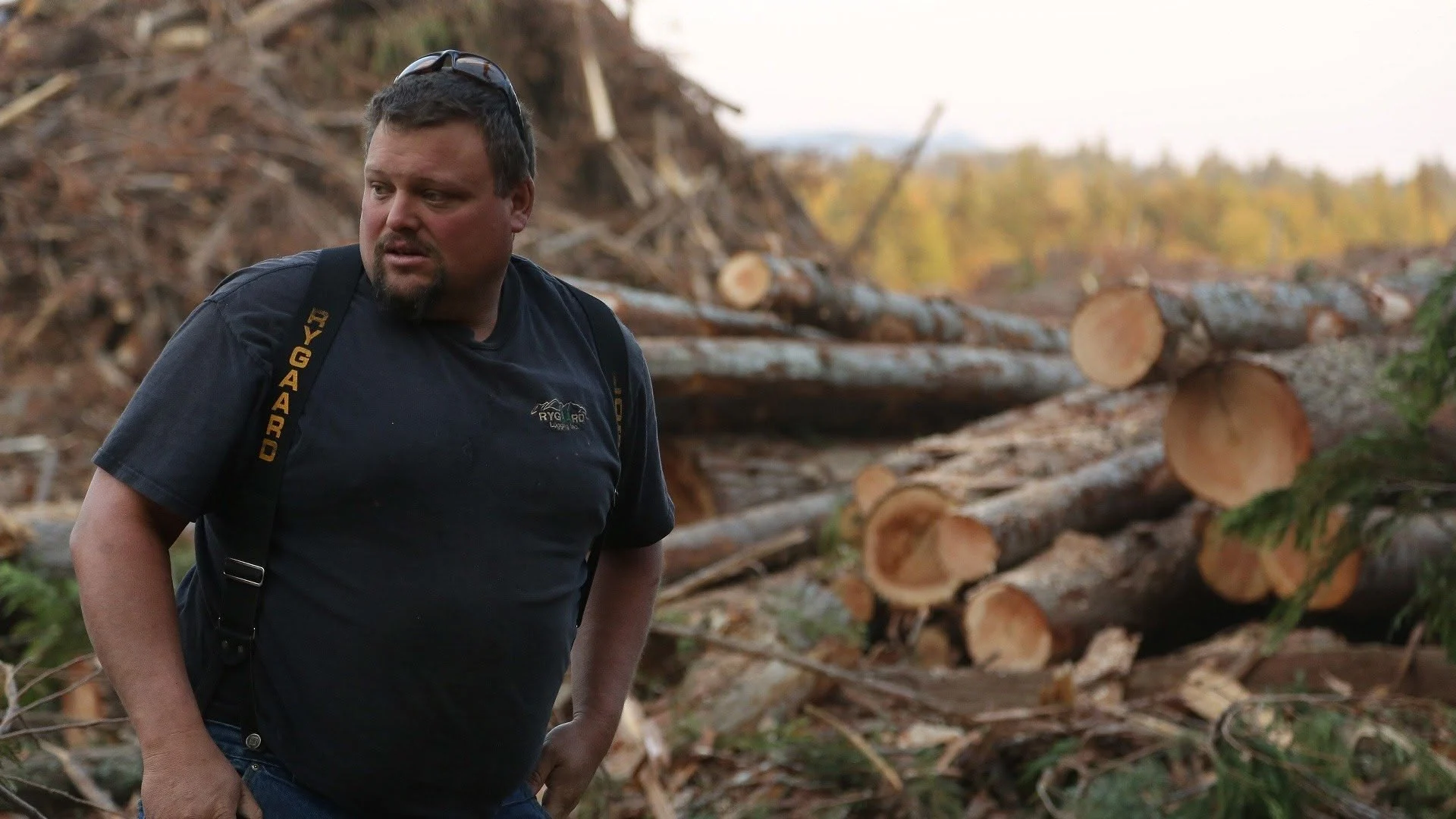Ax Men: Duri come il legno stagione 8