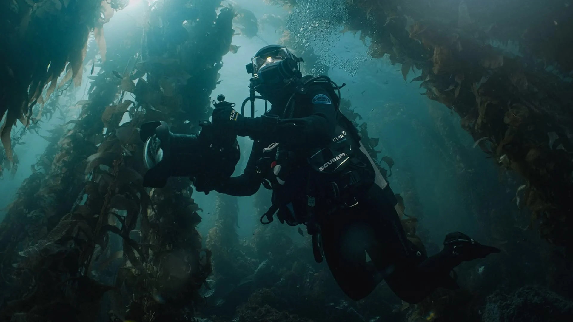 Nord America selvaggio stagione 1