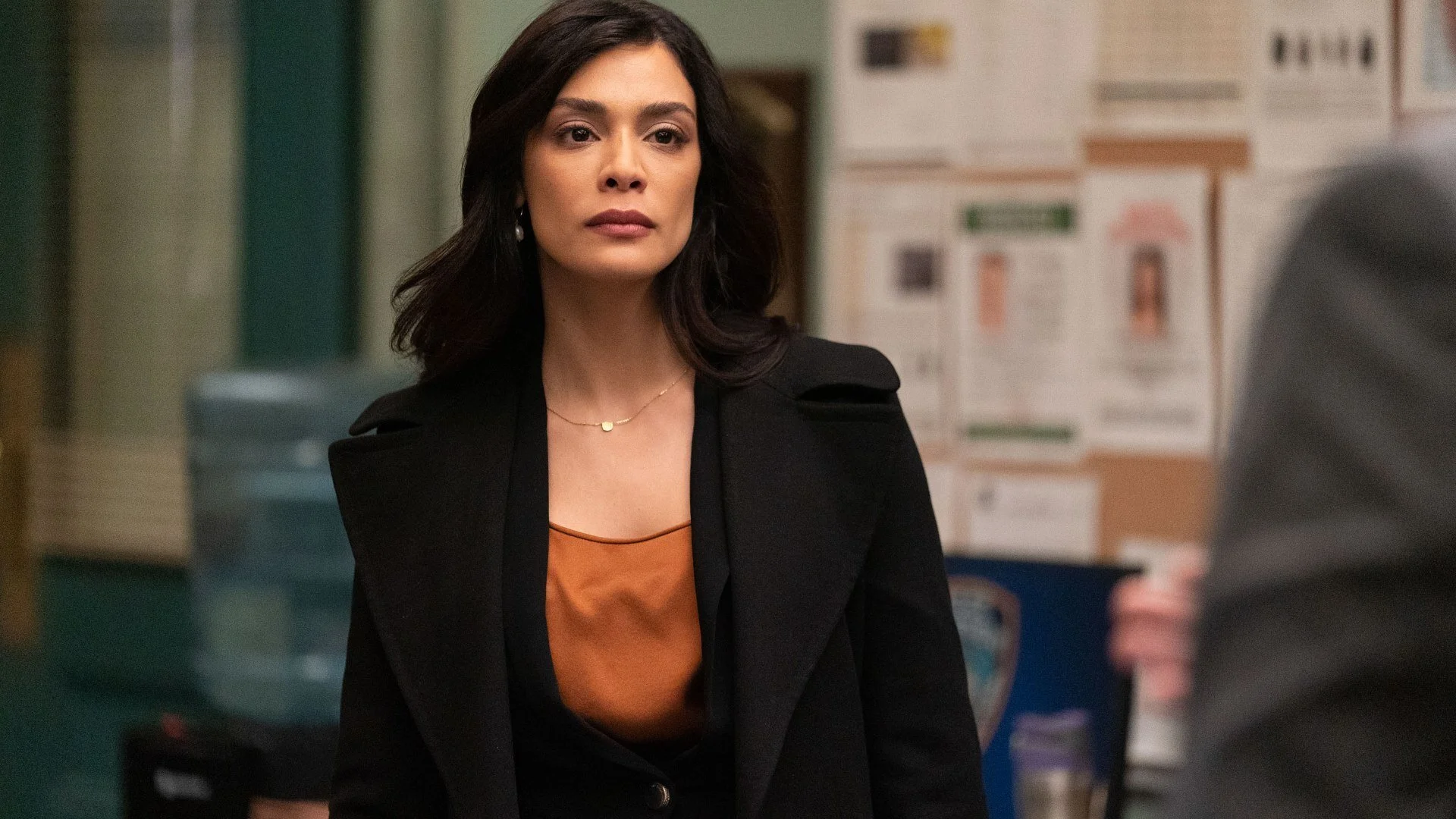 Law & Order: I due volti della giustizia stagione 22