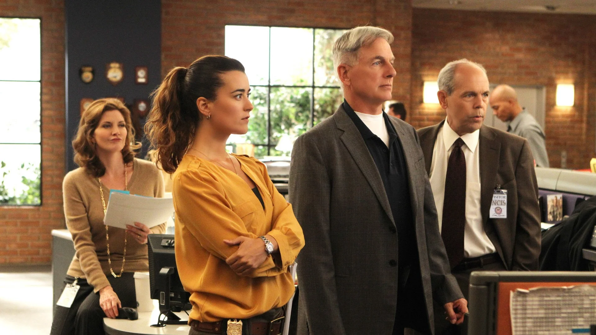 NCIS stagione 10