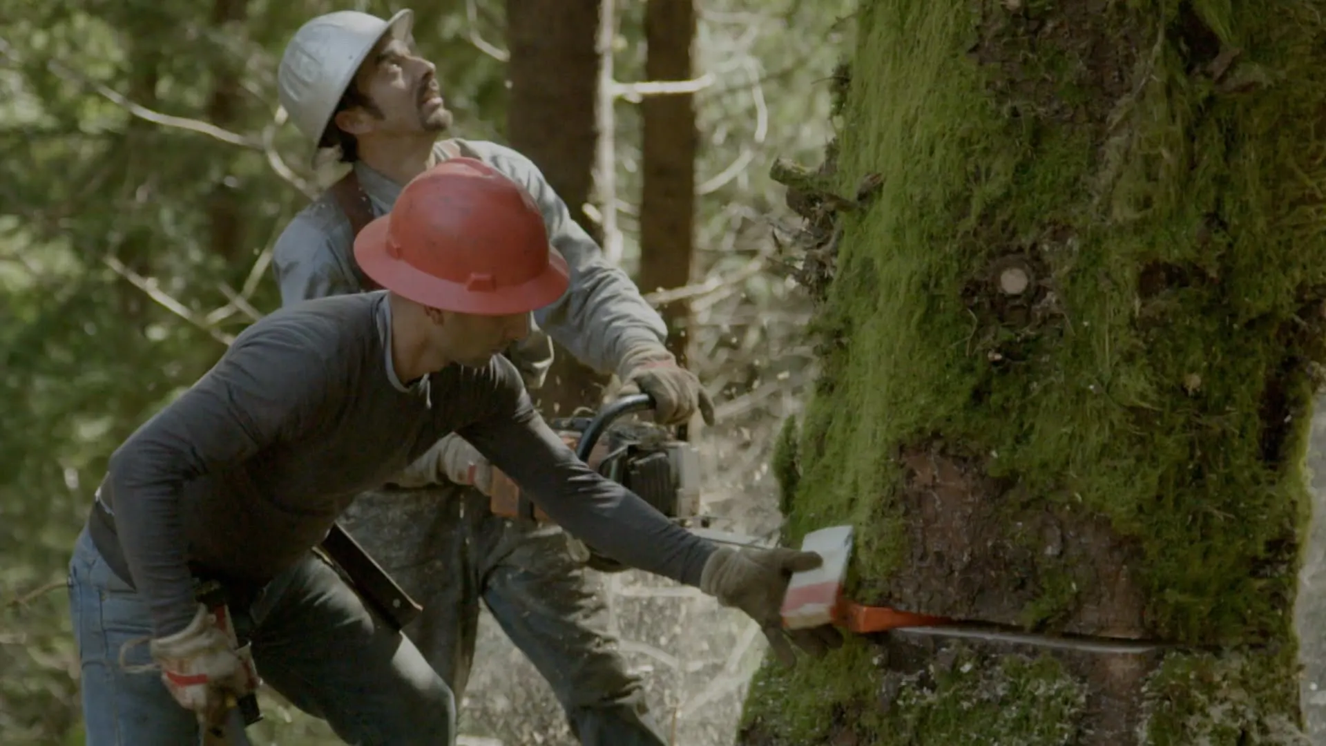 Ax Men: Duri come il legno stagione 10