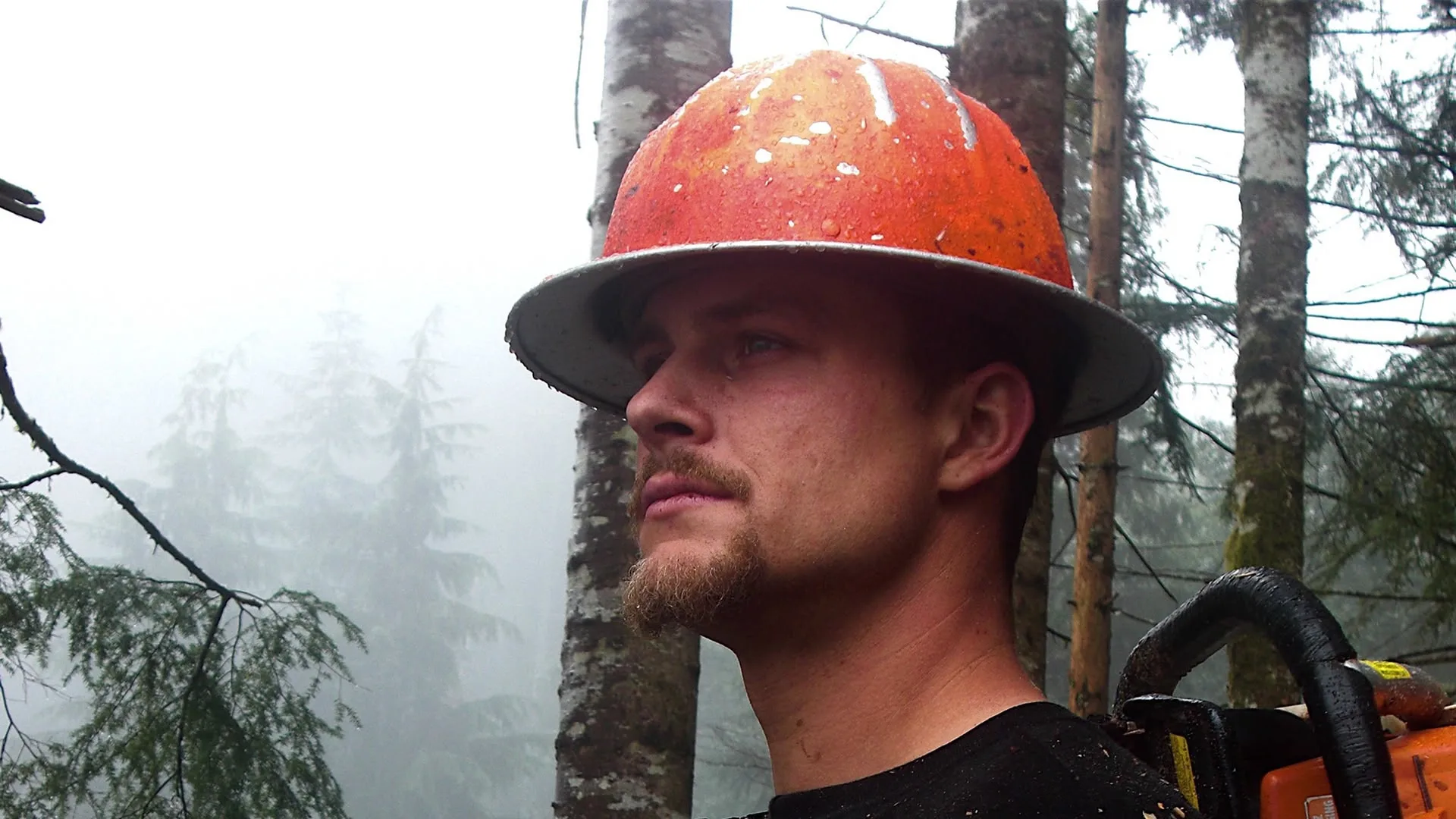 Ax Men: Duri come il legno stagione 8