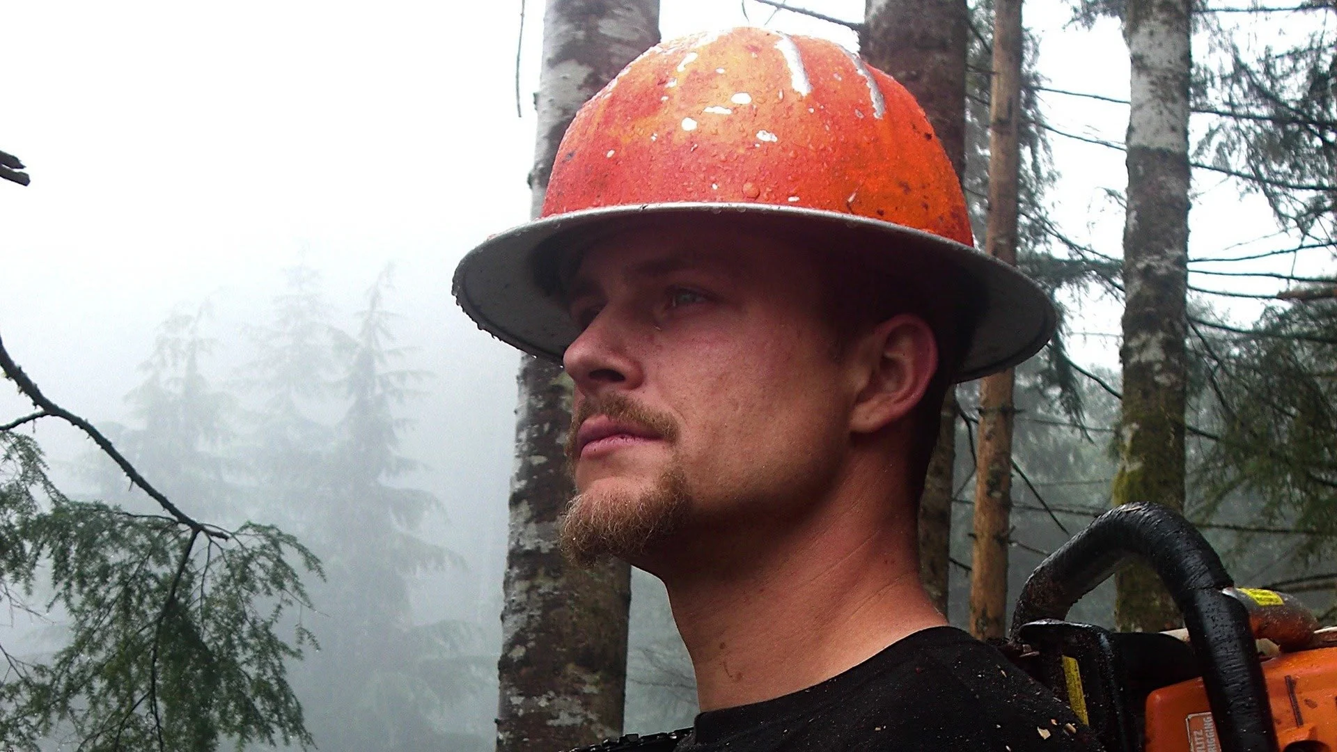 Ax Men: Duri come il legno stagione 8