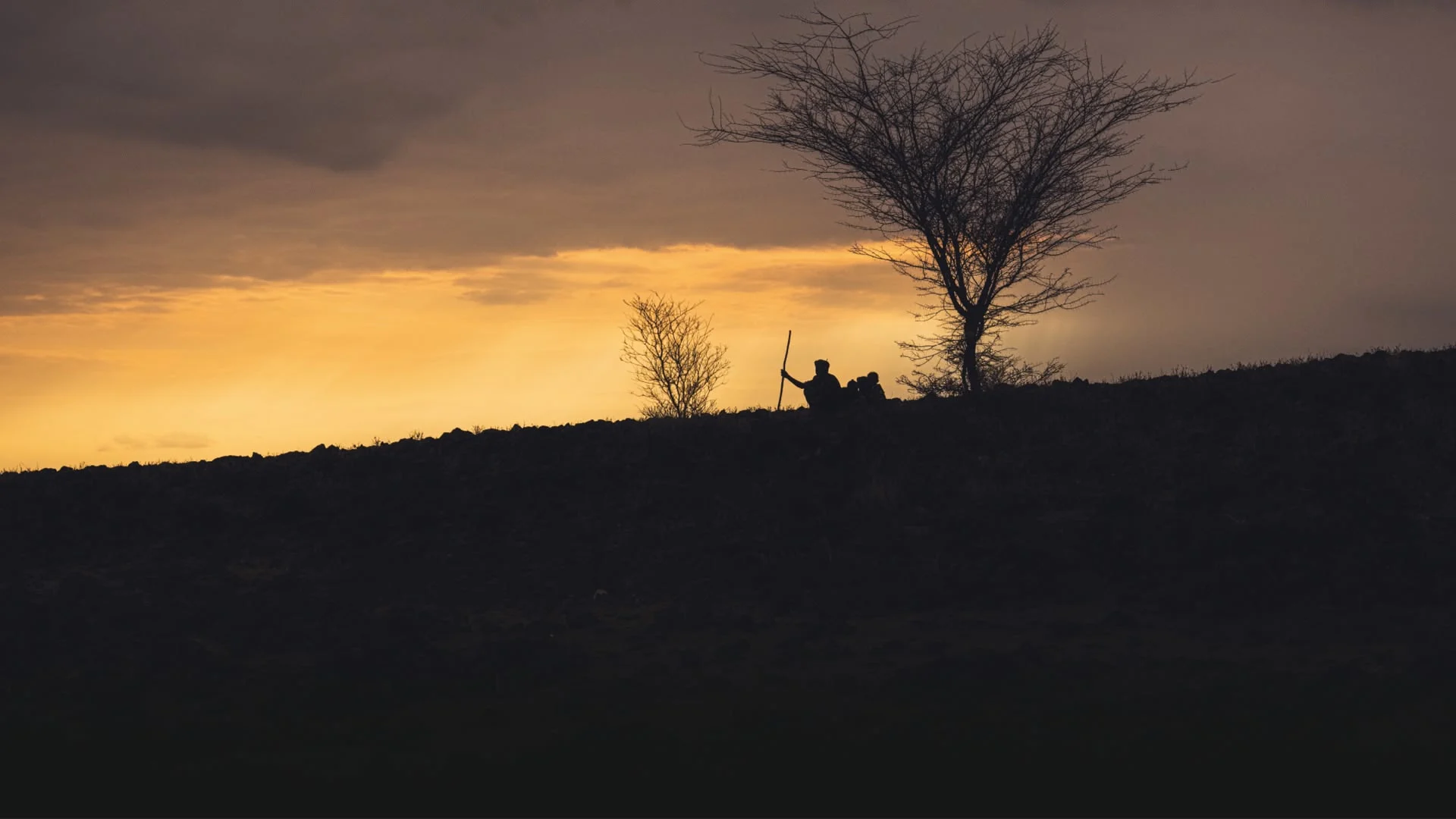 Barren Lands: Terre aride