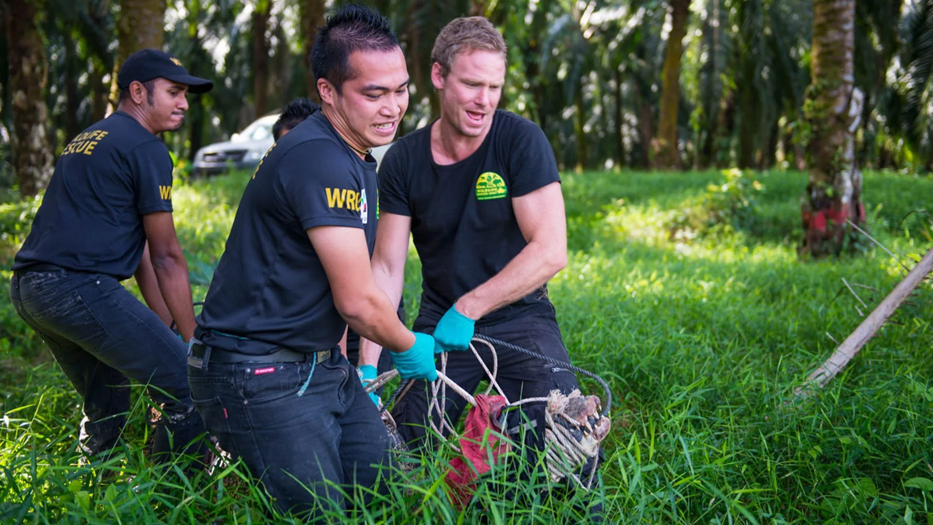 Borneo da salvare stagione 1