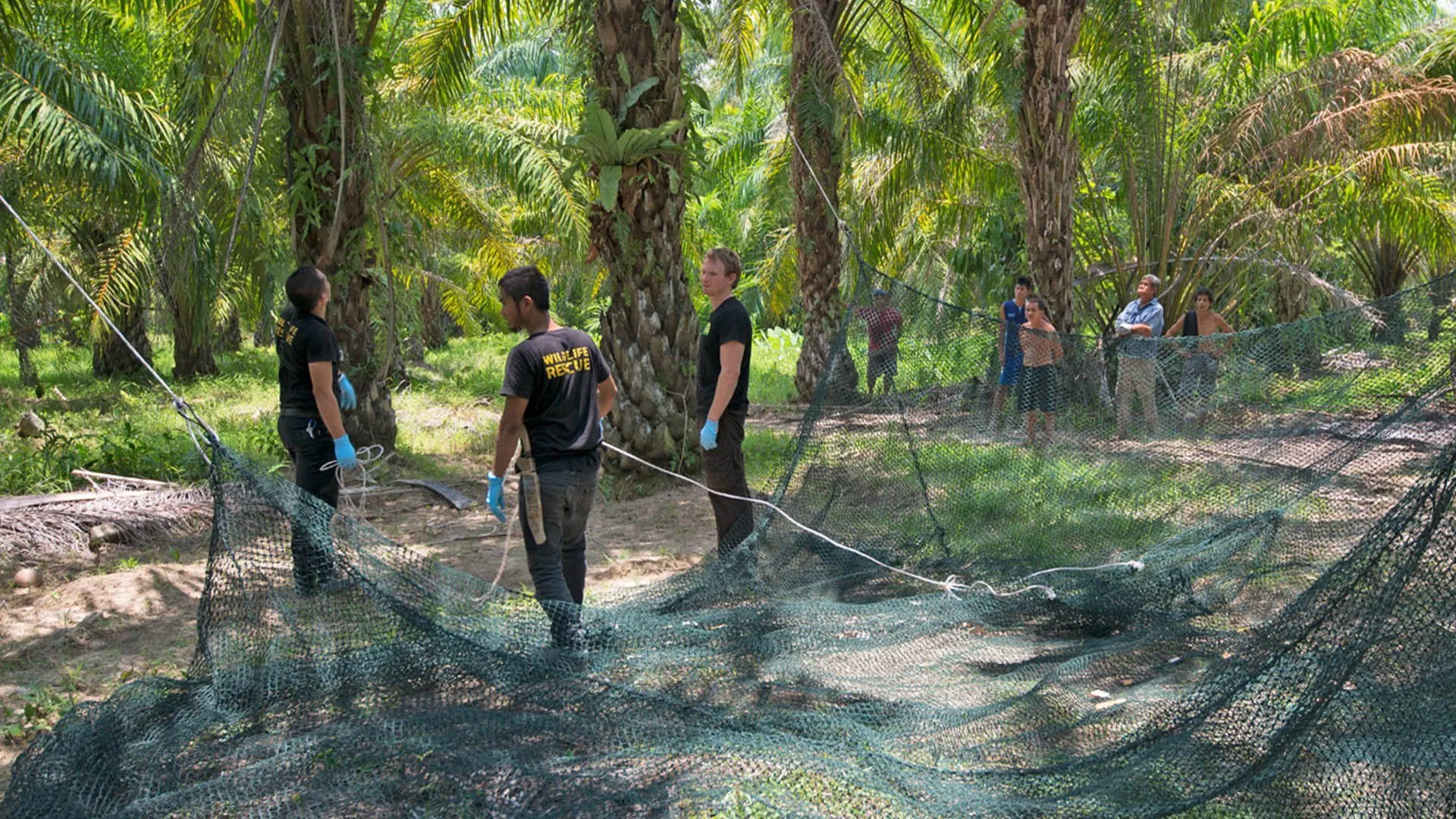 Borneo da salvare stagione 1