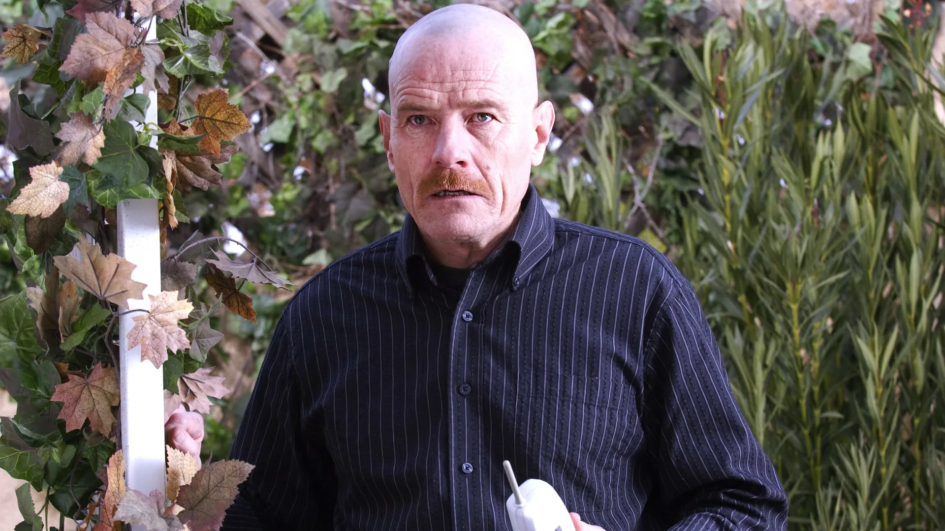 Breaking Bad stagione 2