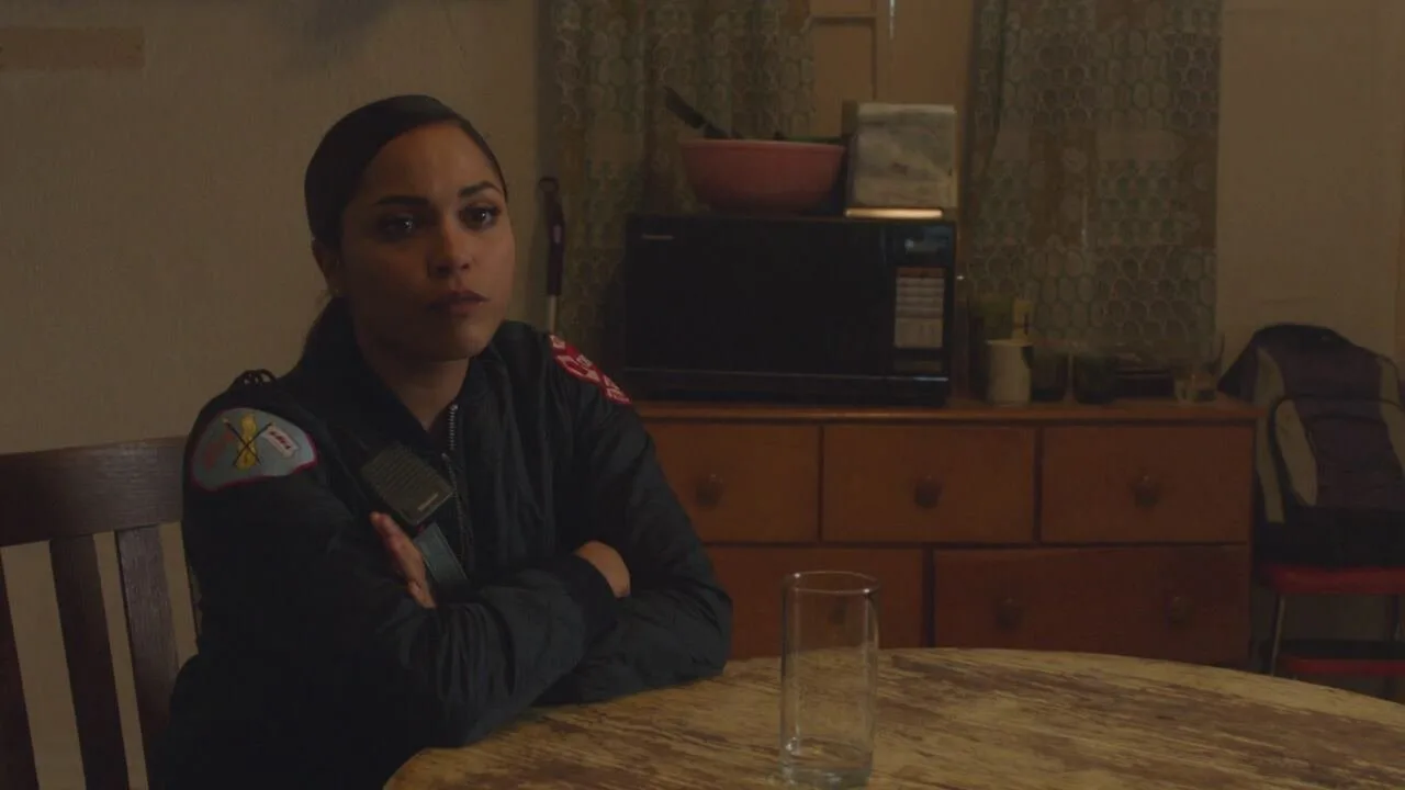 Chicago Fire stagione 6