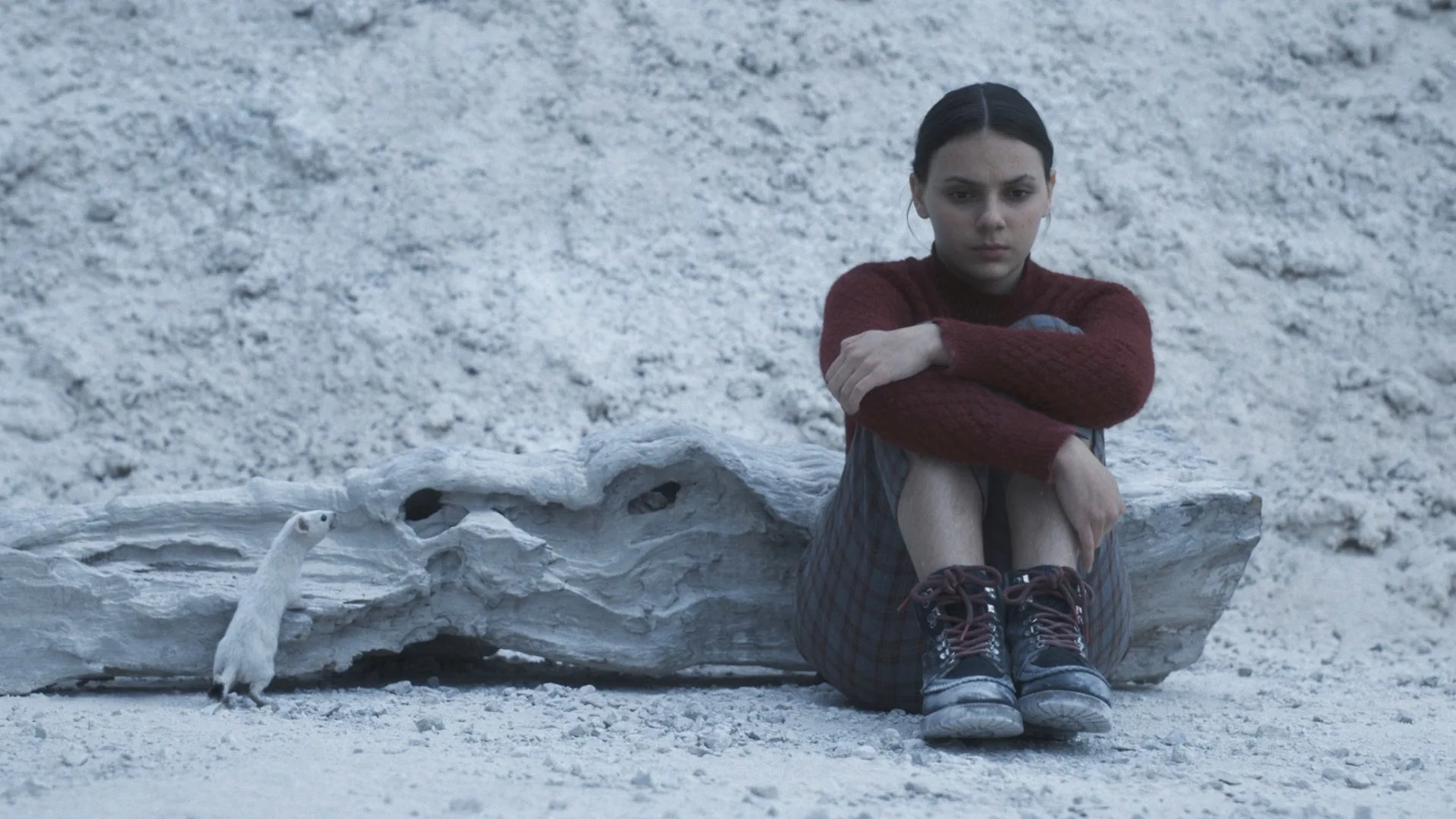 His Dark Materials - Queste oscure materie stagione 3