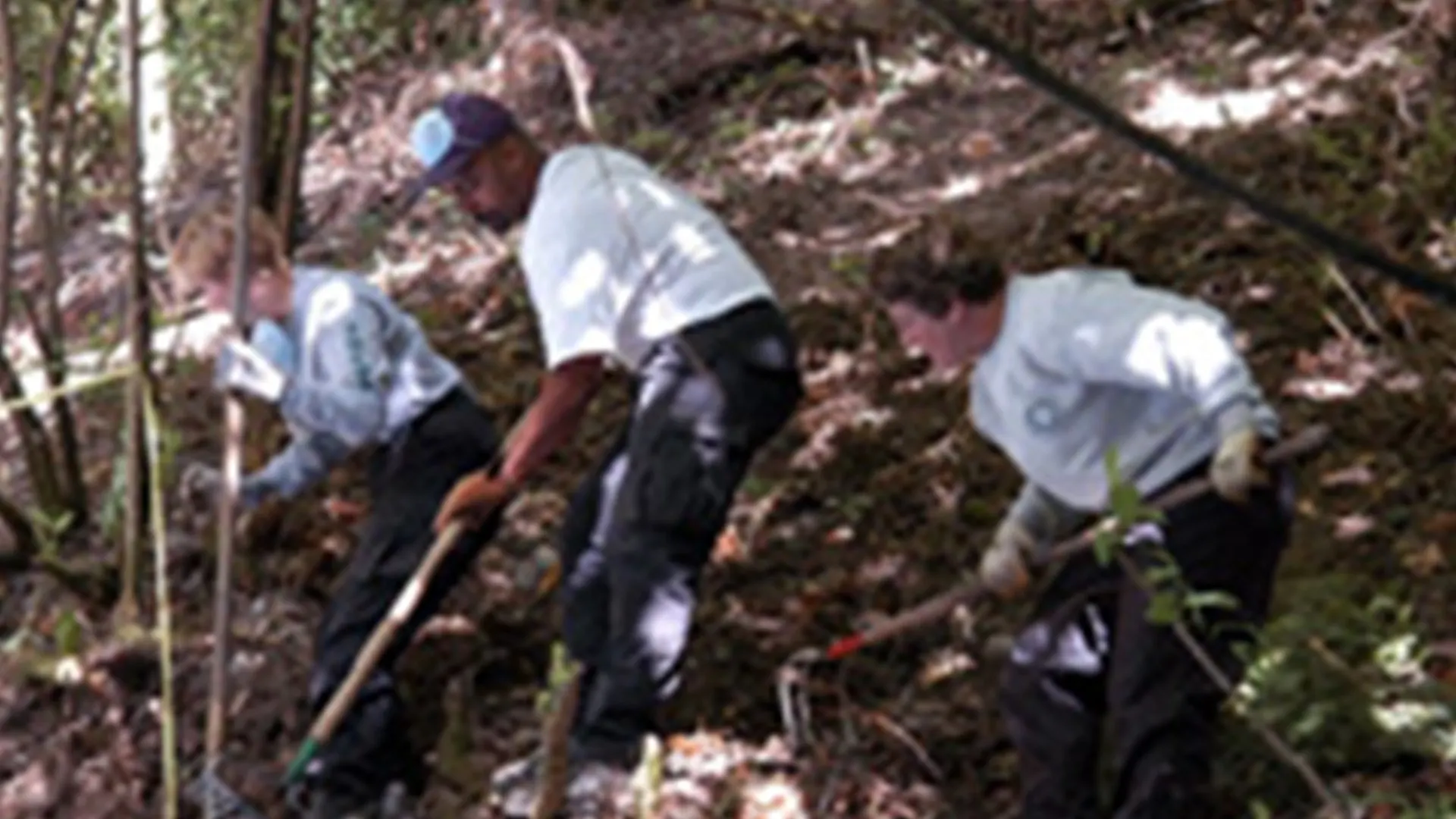 Cold case: casi irrisolti stagione 5