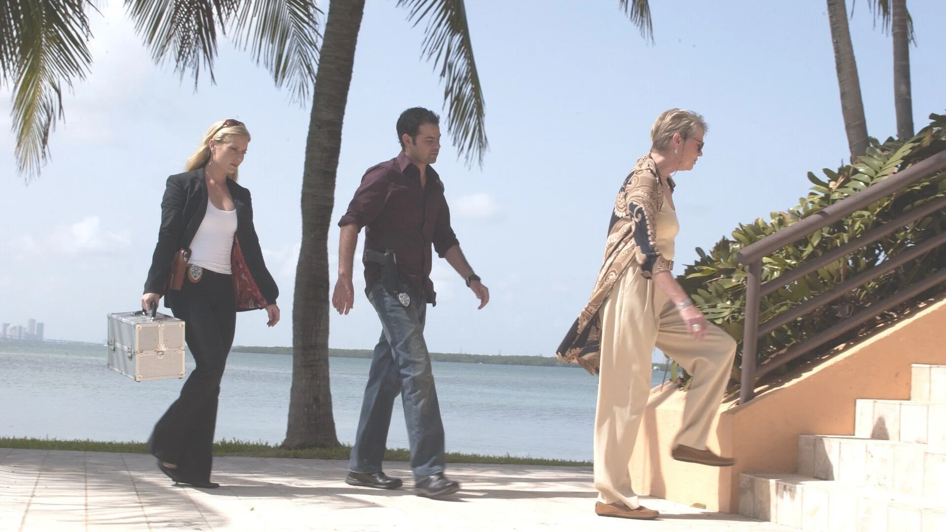 CSI: Miami stagione 2