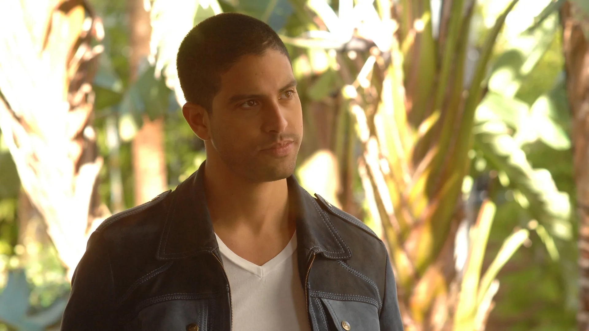 CSI: Miami stagione 5