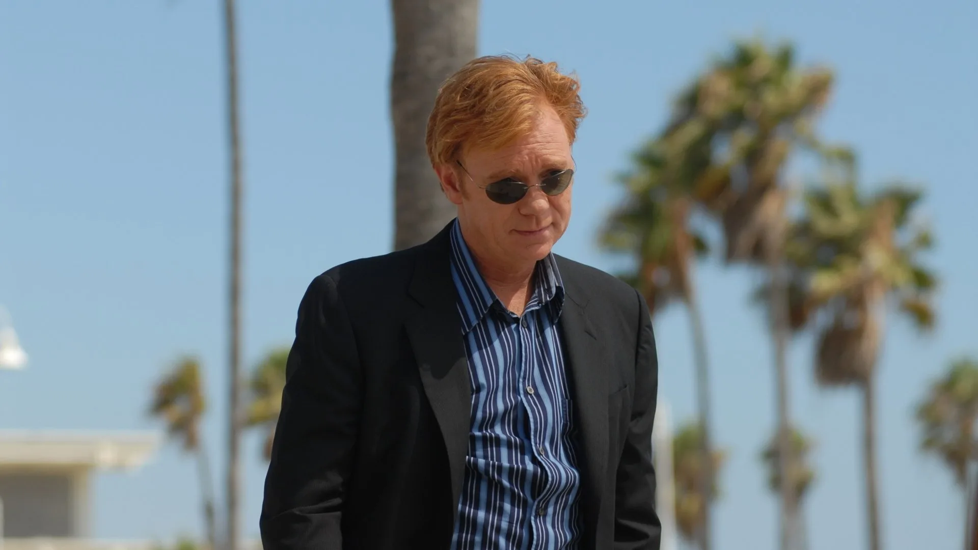 CSI: Miami stagione 5
