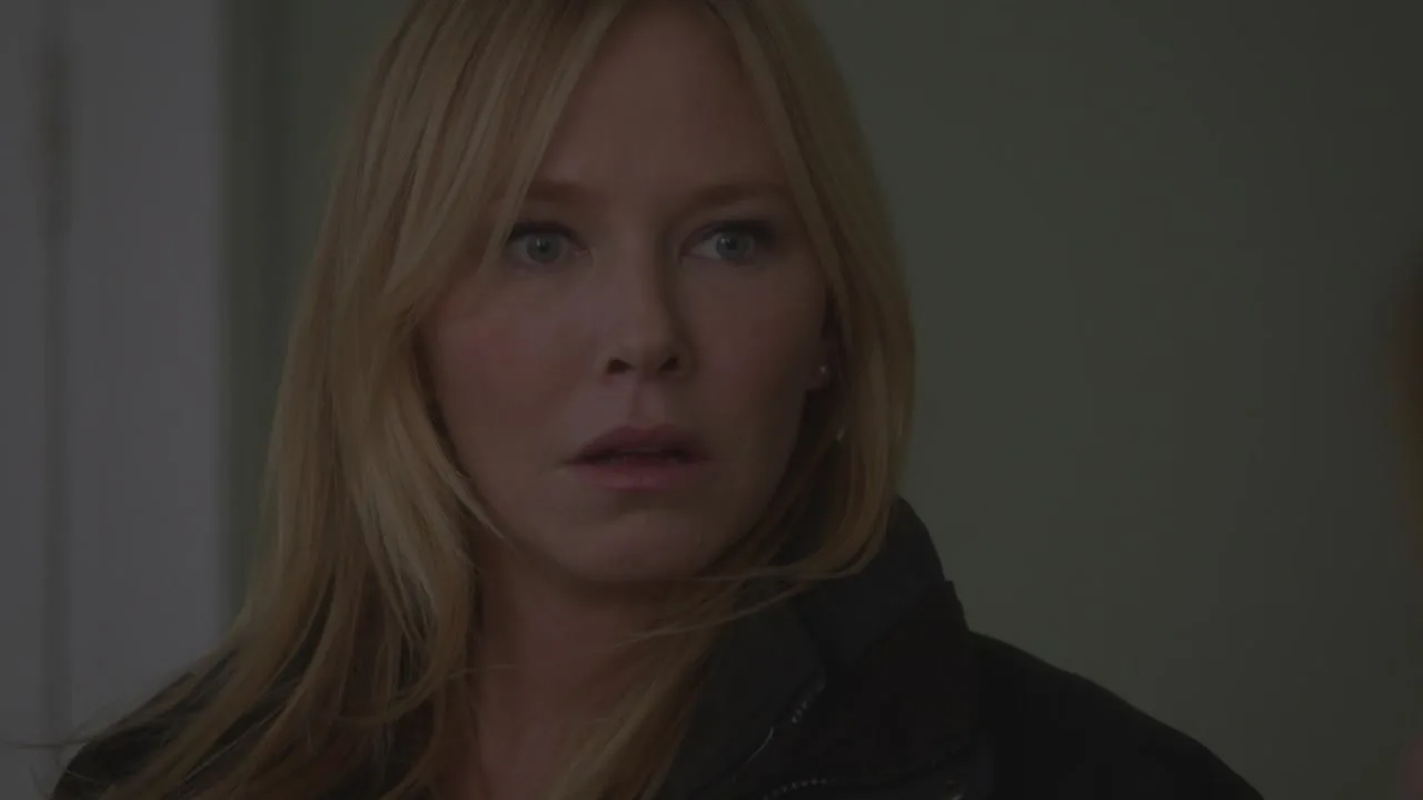 Law & Order: Special Victims Unit stagione 19