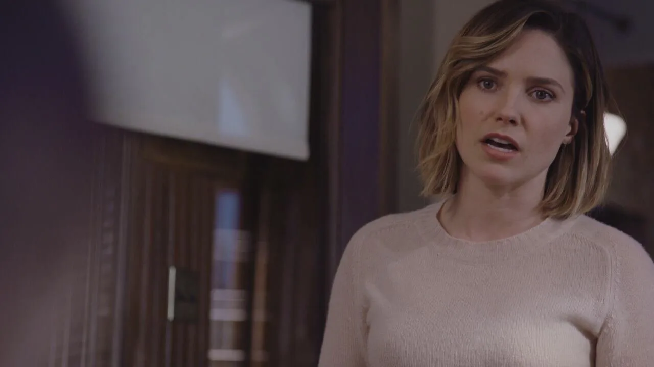 Chicago P.D. stagione 3