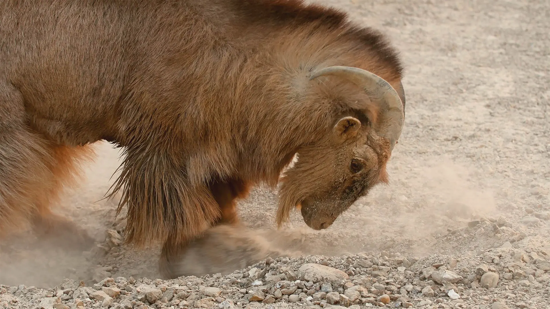 Dall'alba al tramonto stagione 1