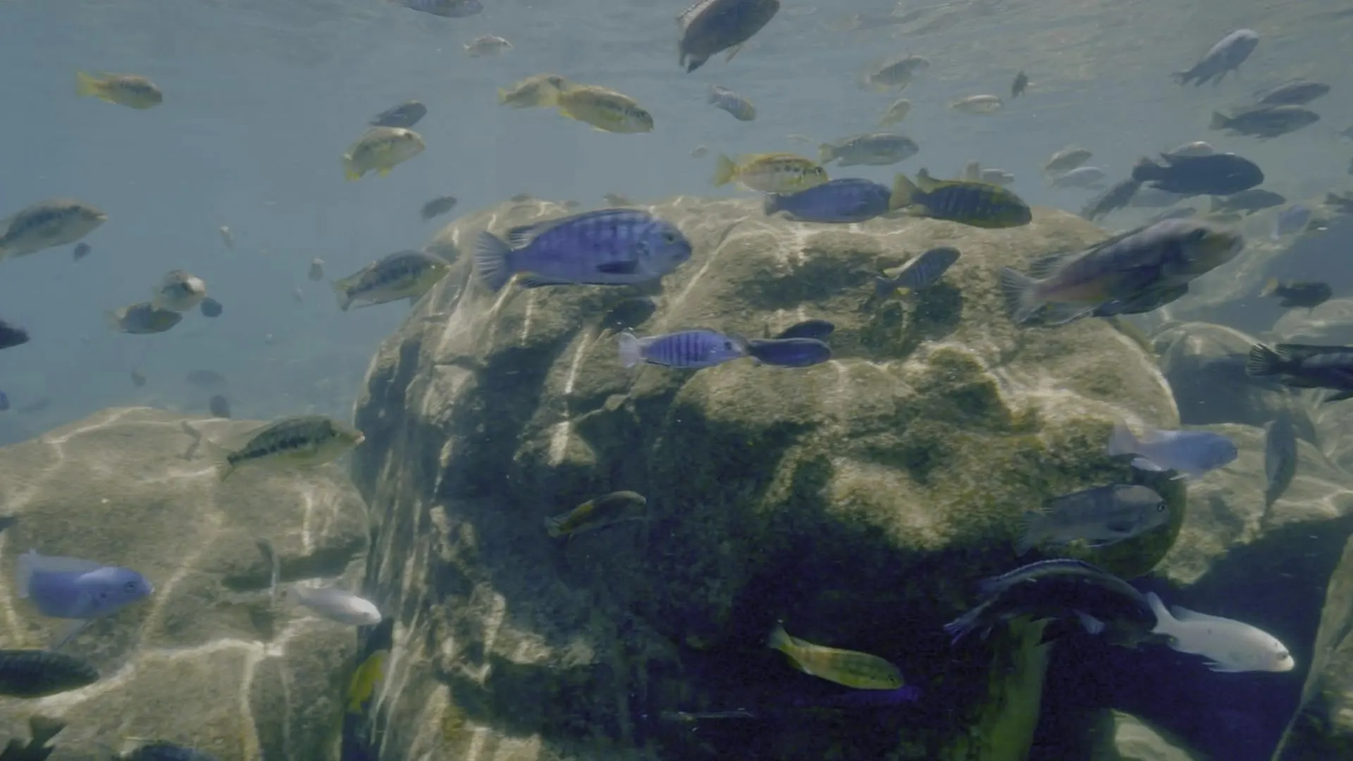 I segreti delle acque incantate stagione 1