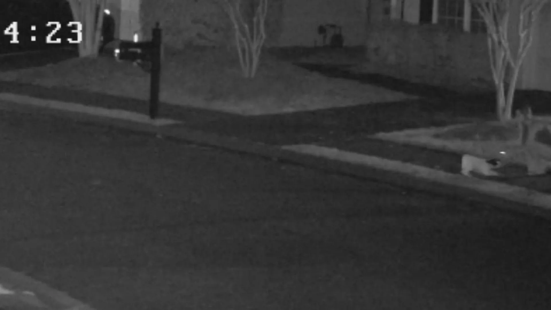 Delitti a circuito chiuso stagione 9