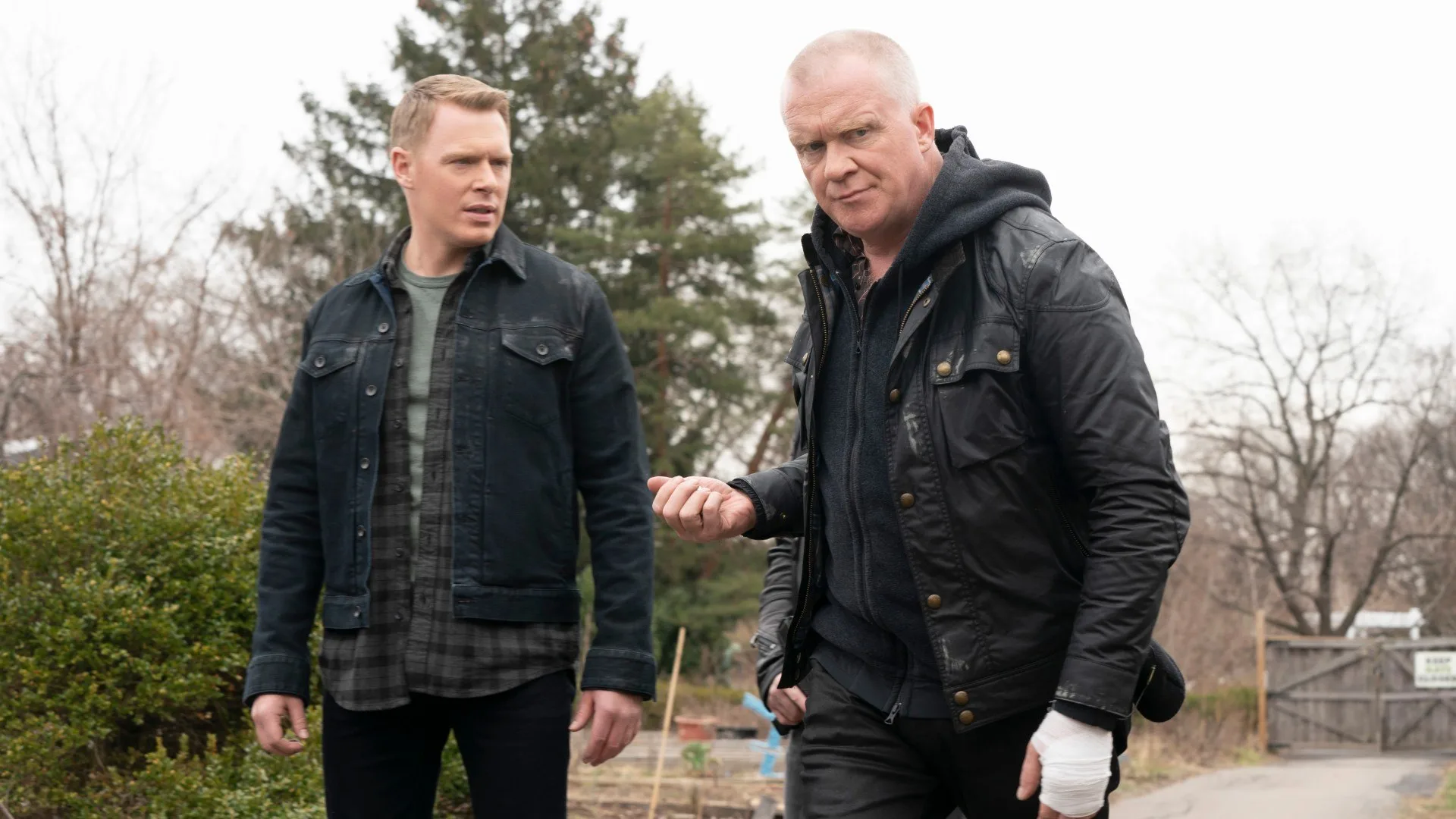 The Blacklist stagione 7