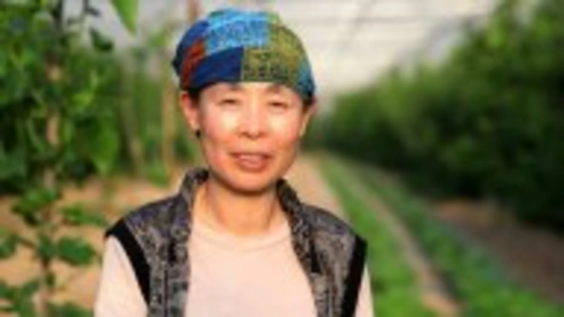 Food Makers Go Global stagione 1