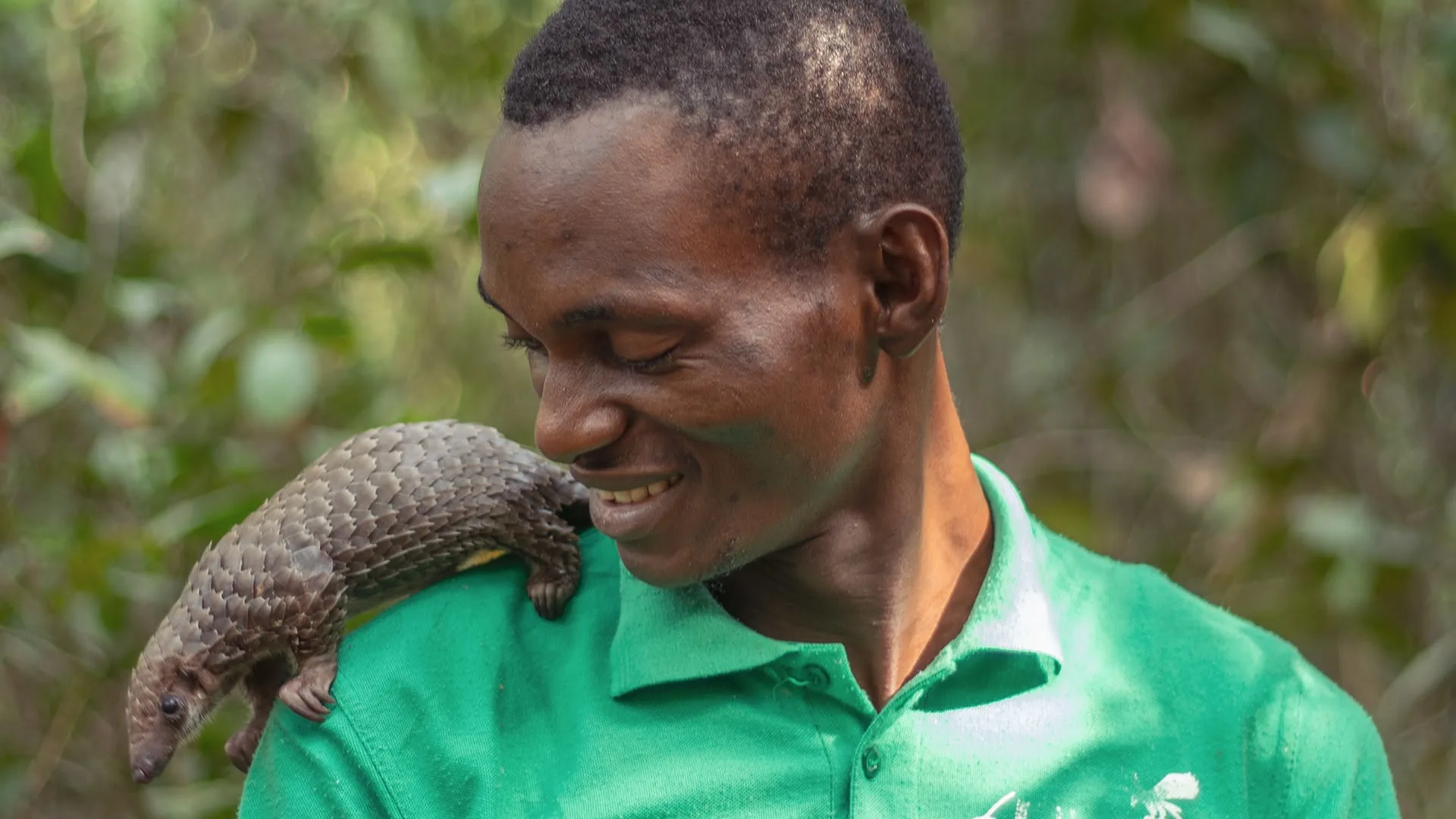 I nostri migliori amici animali stagione 1