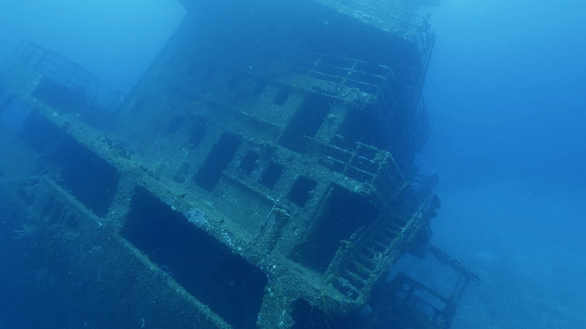 I relitti delle barriere coralline stagione 1