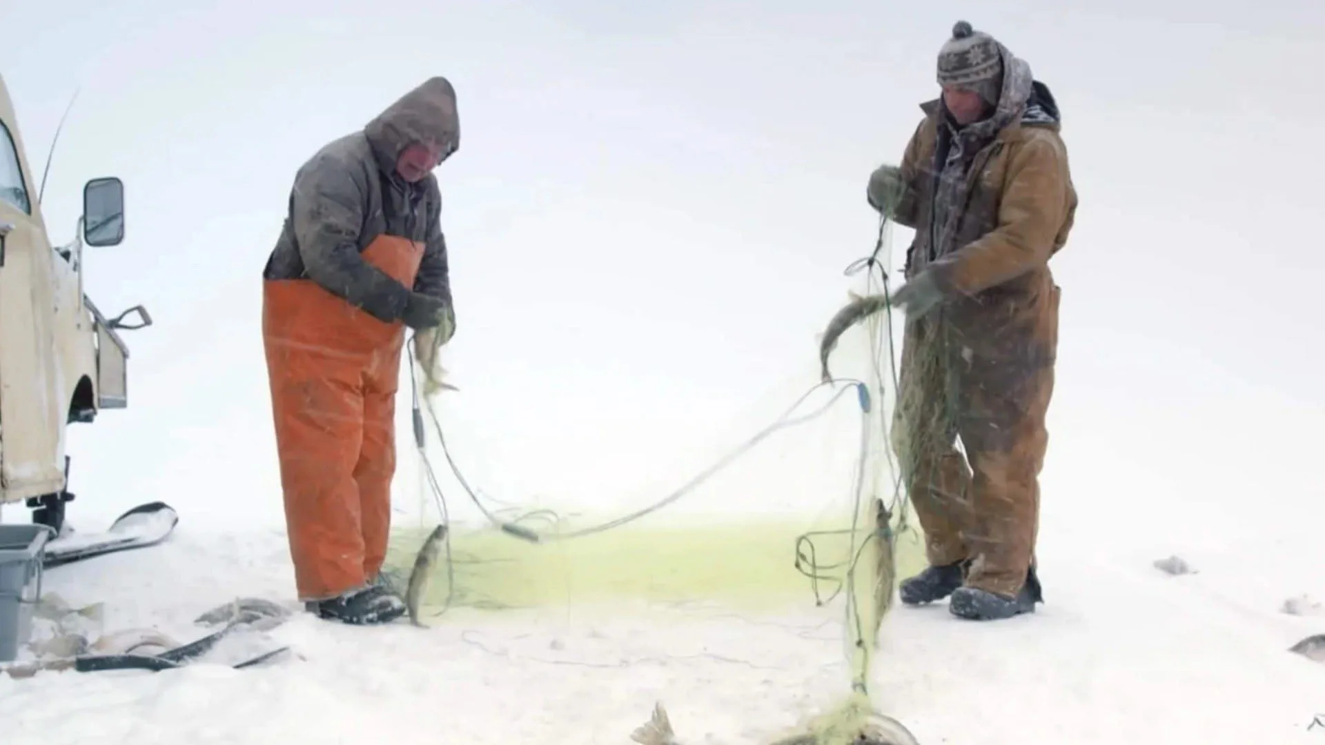 Ice Vikings stagione 1