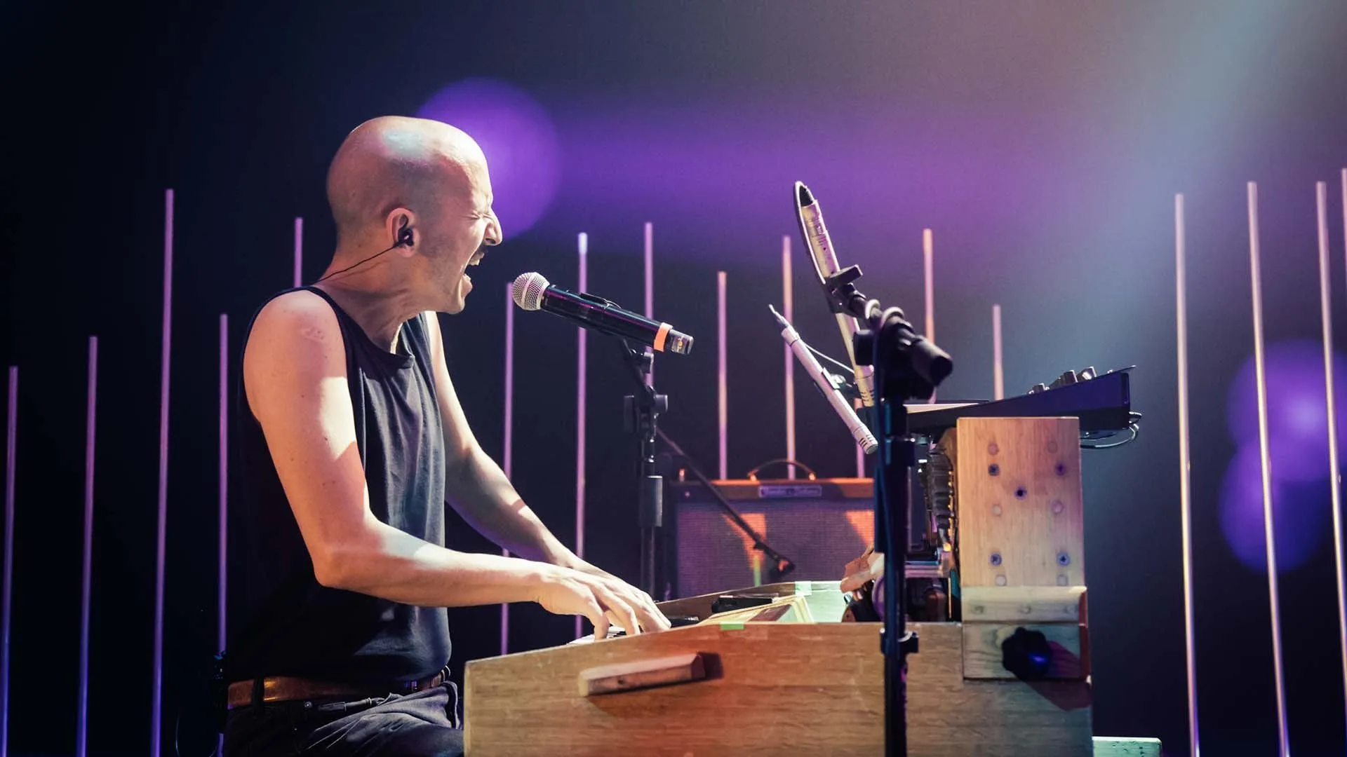 Indie Jungle stagione 3