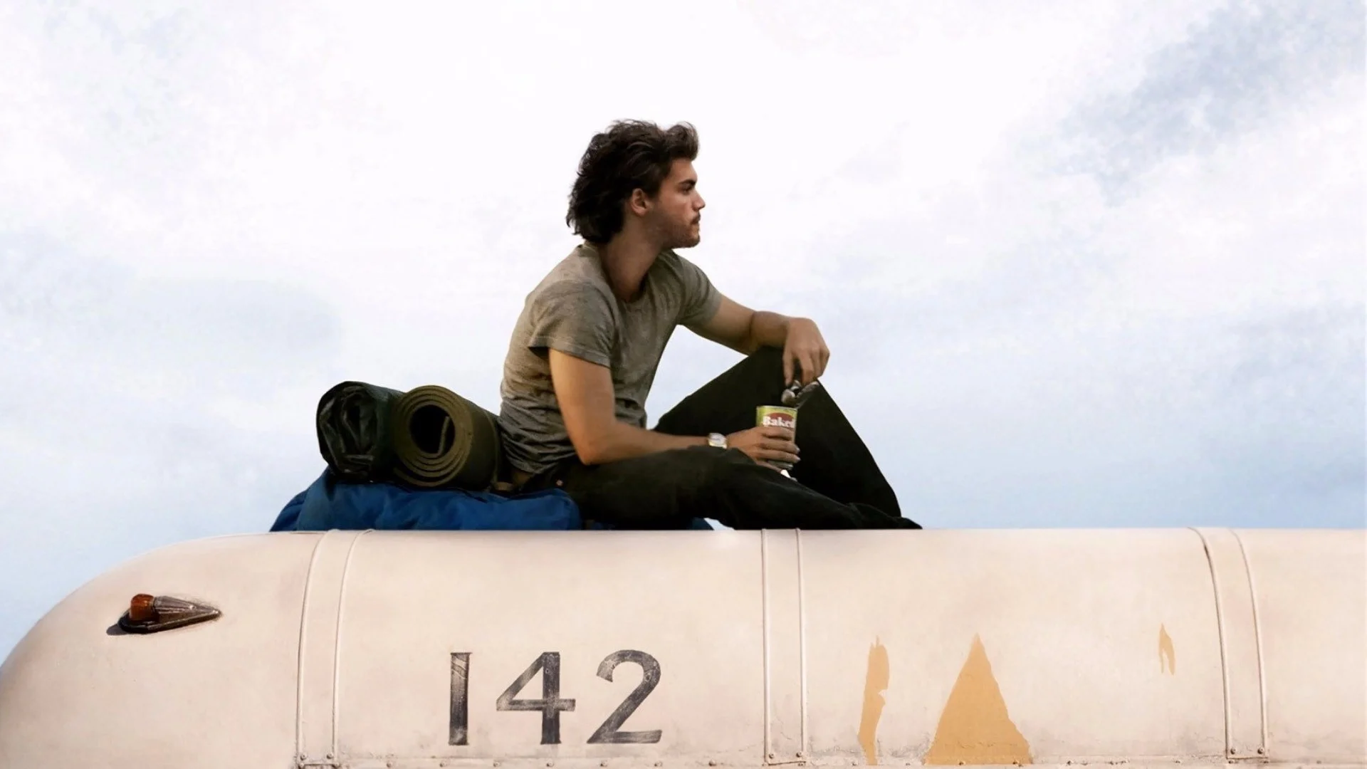 Into the Wild - Nelle terre selvagge